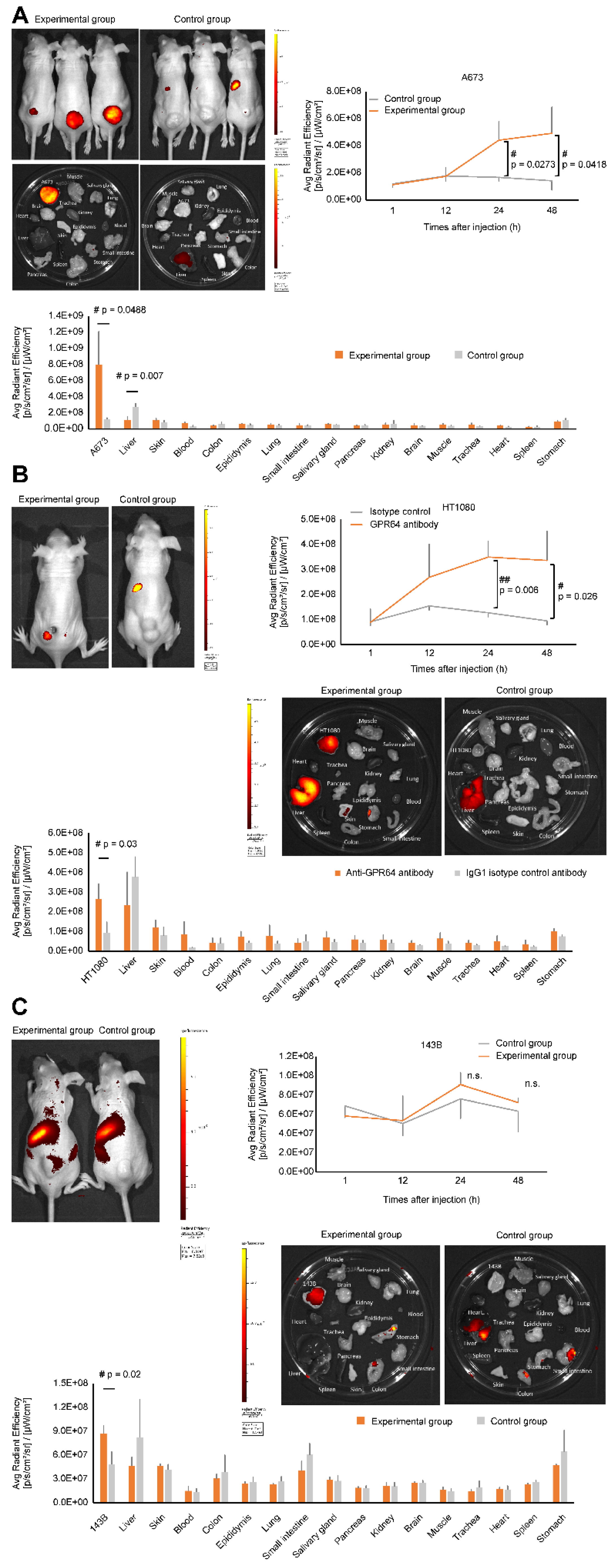 Cancers 14 00814 g007