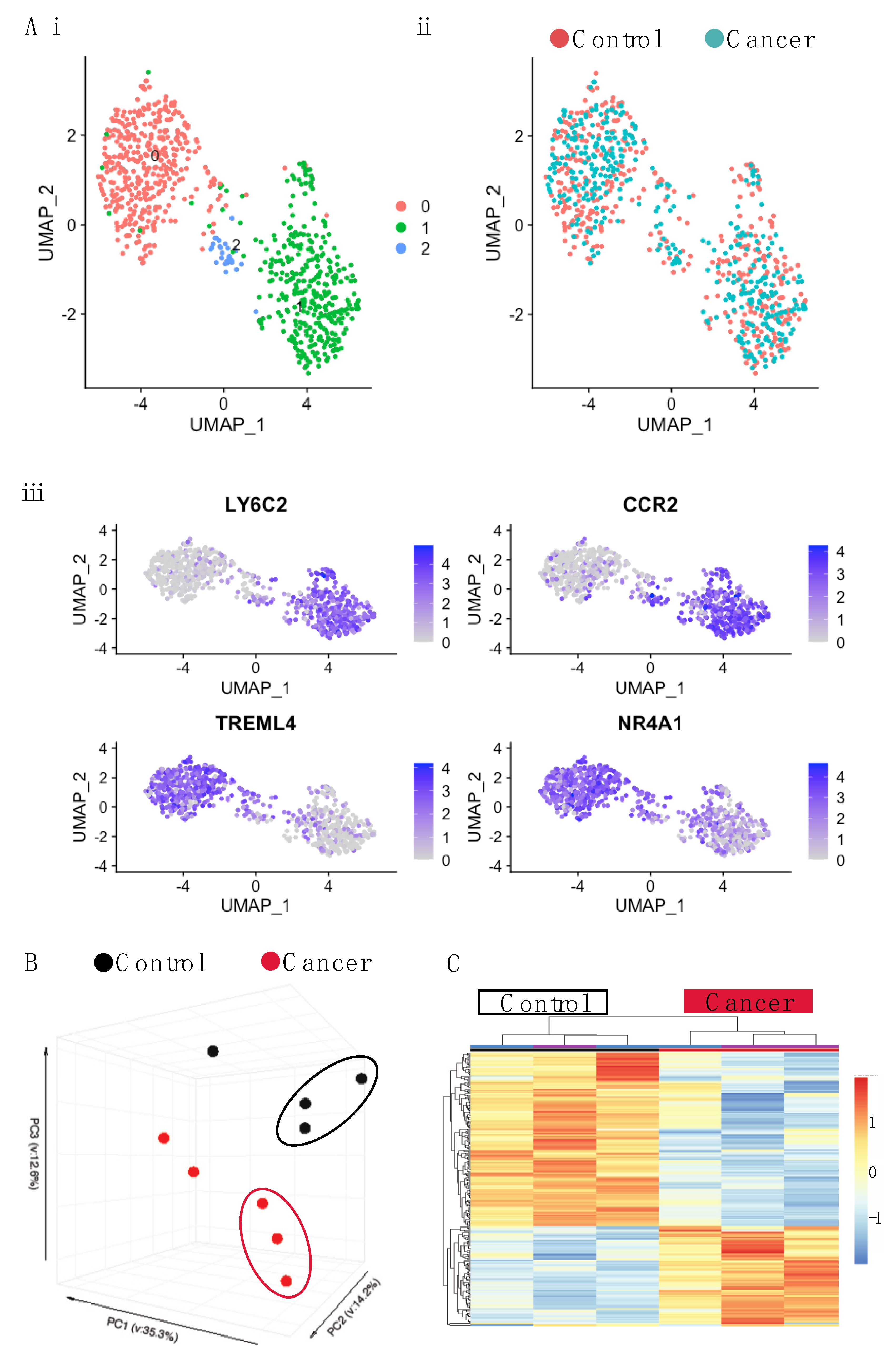 Cancers 14 00833 g004 Cancers 14 00833 g004