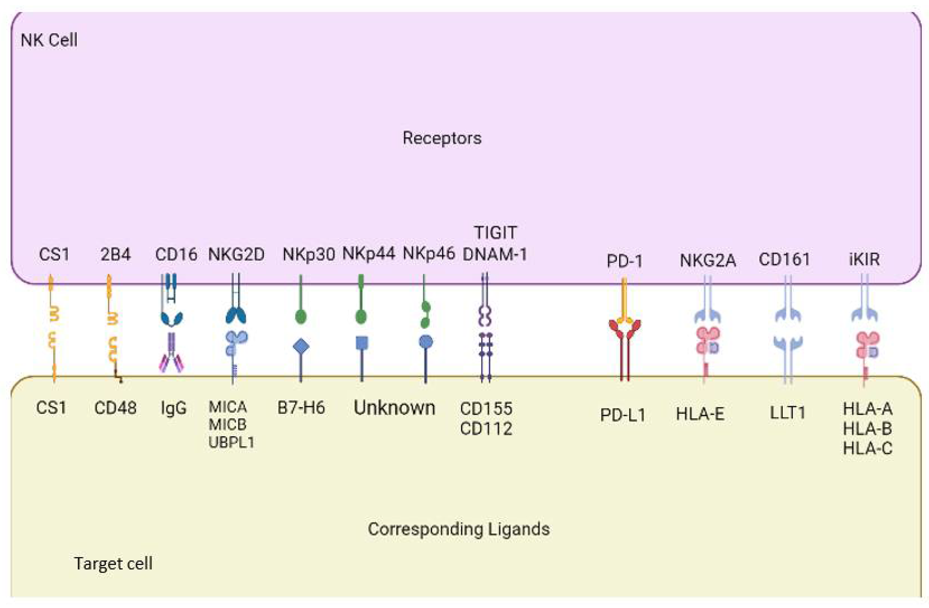 Cancers 14 00843 g001 Cancers 14 00843 g001