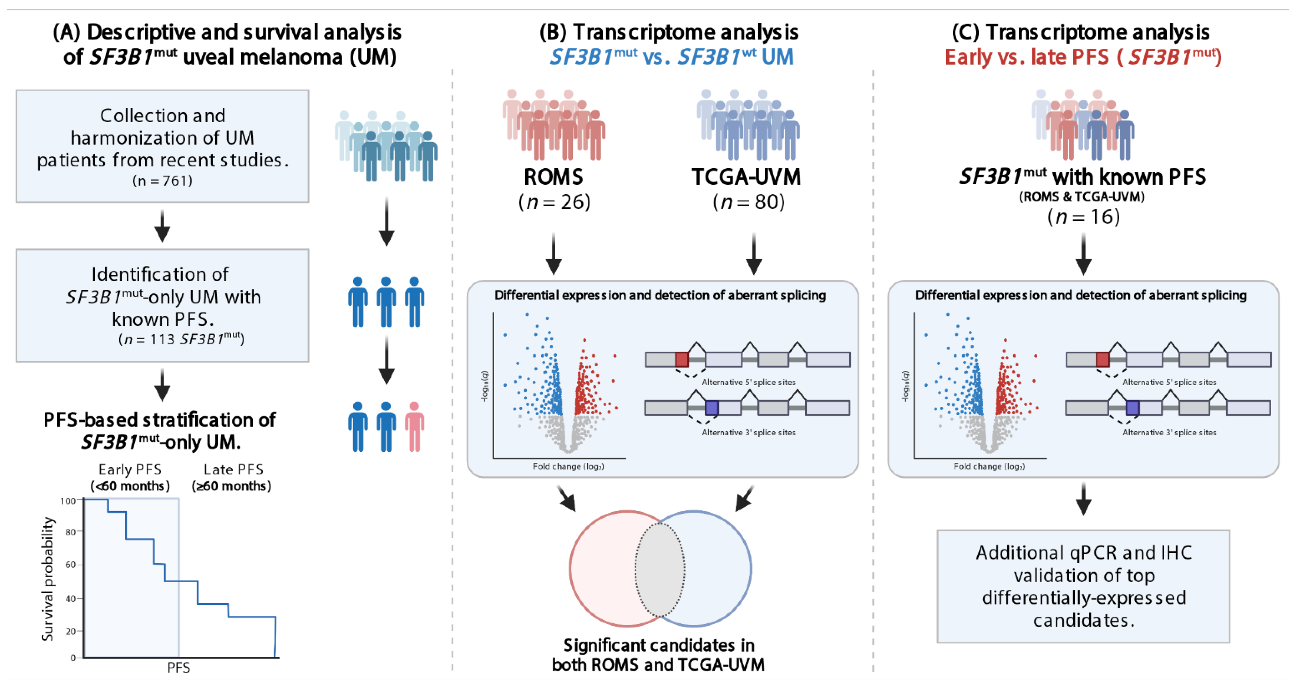 Cancers 14 00846 g001