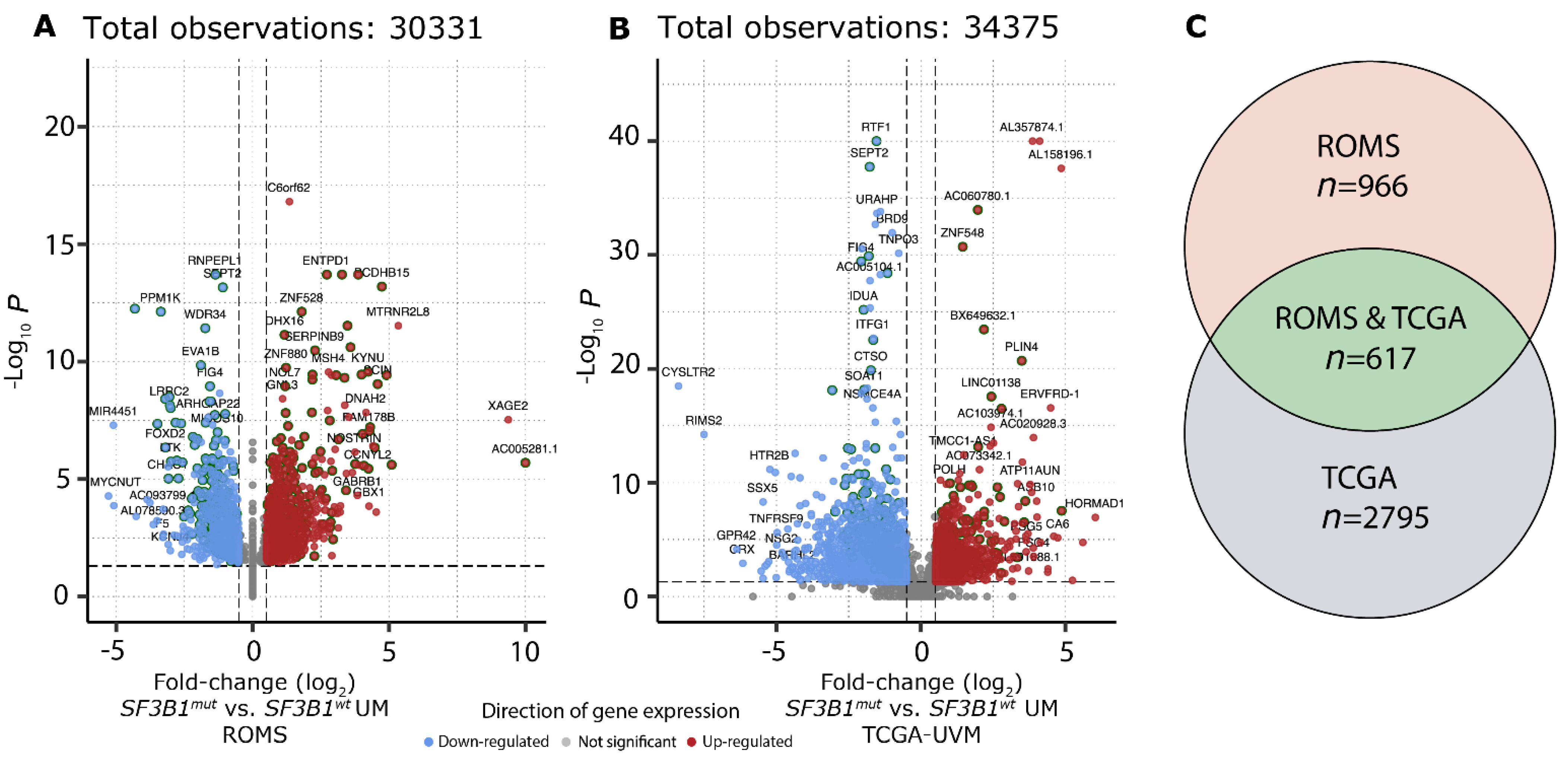 Cancers 14 00846 g003