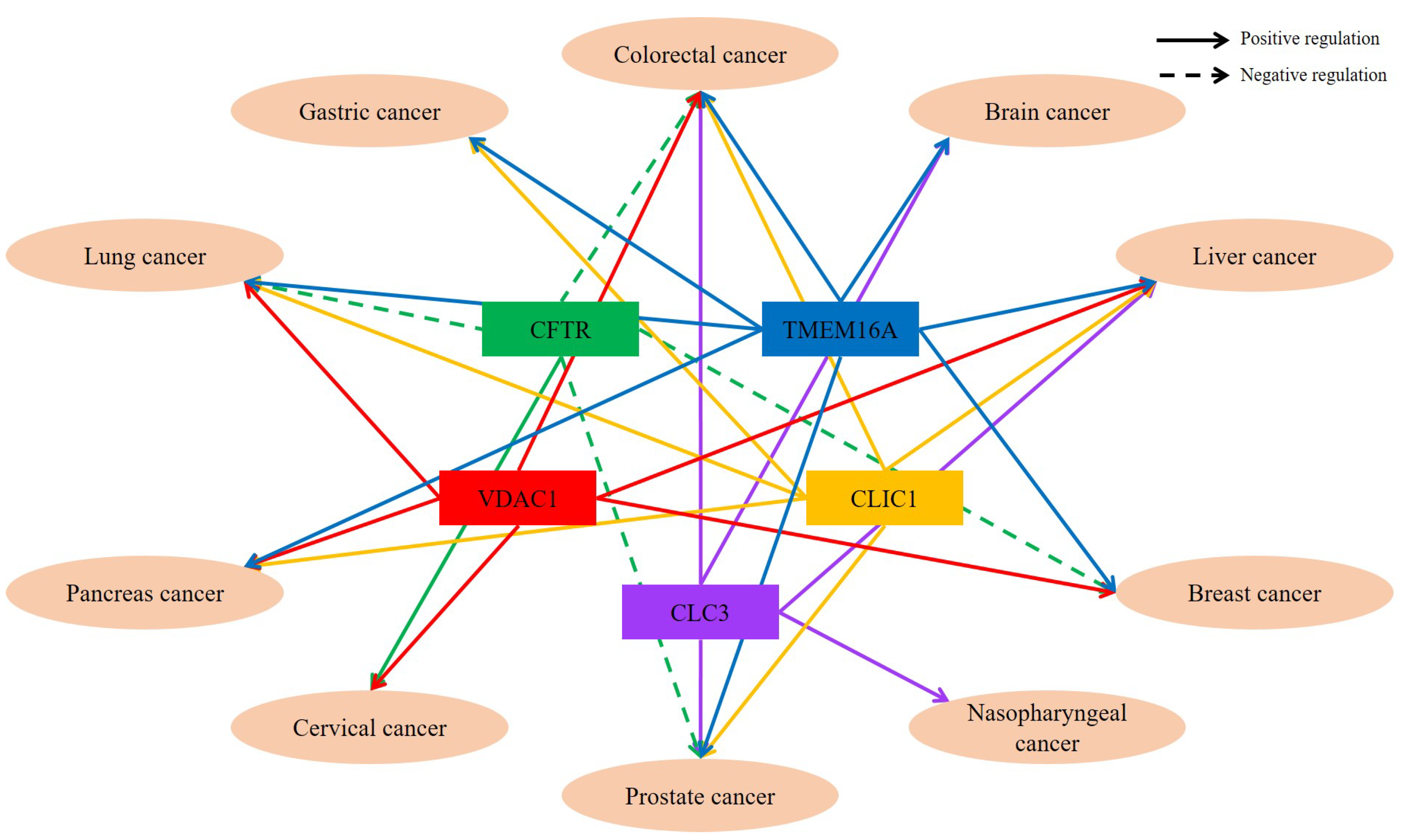 Cancers 14 00856 g001