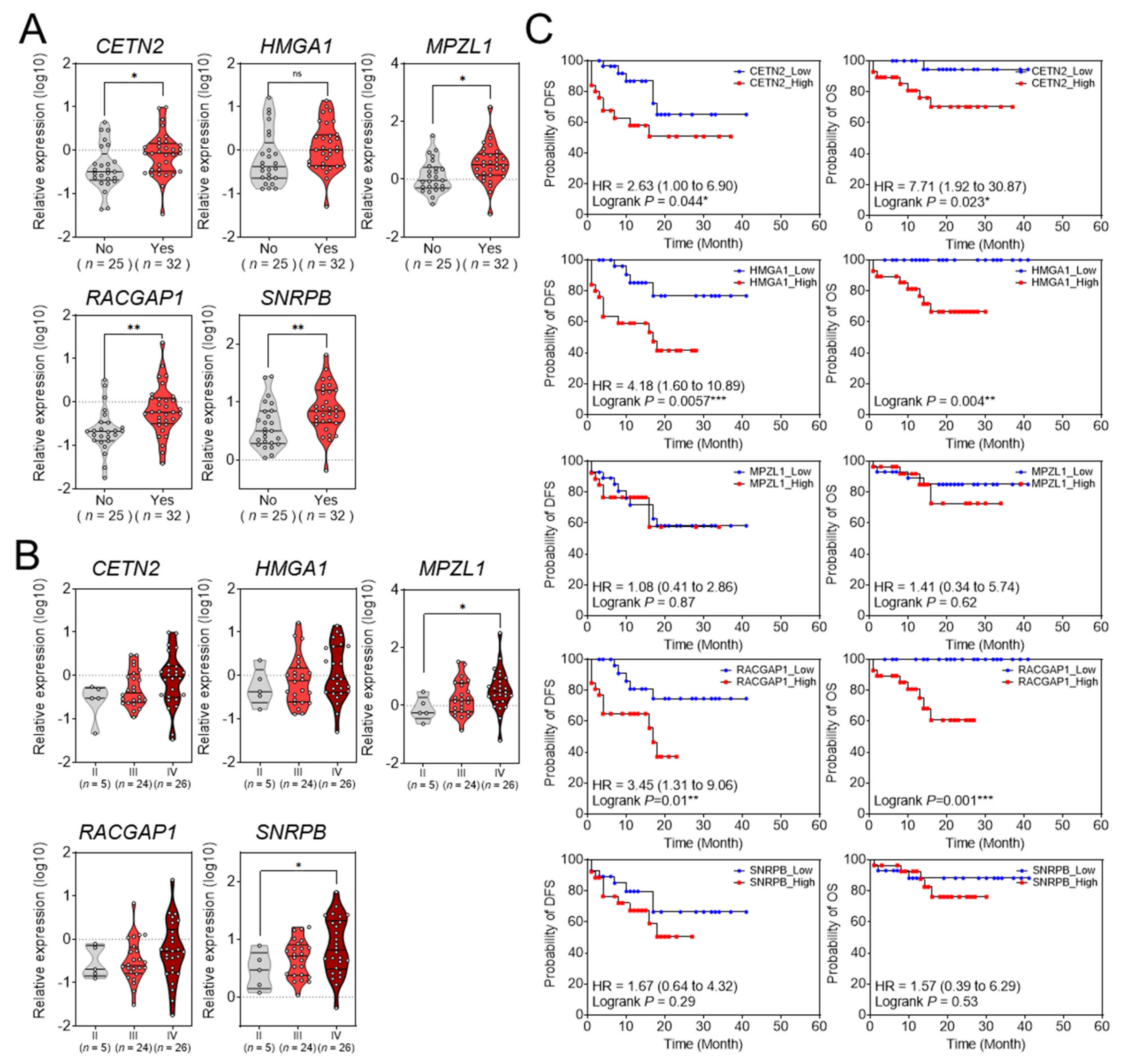 Cancers 14 00865 g005