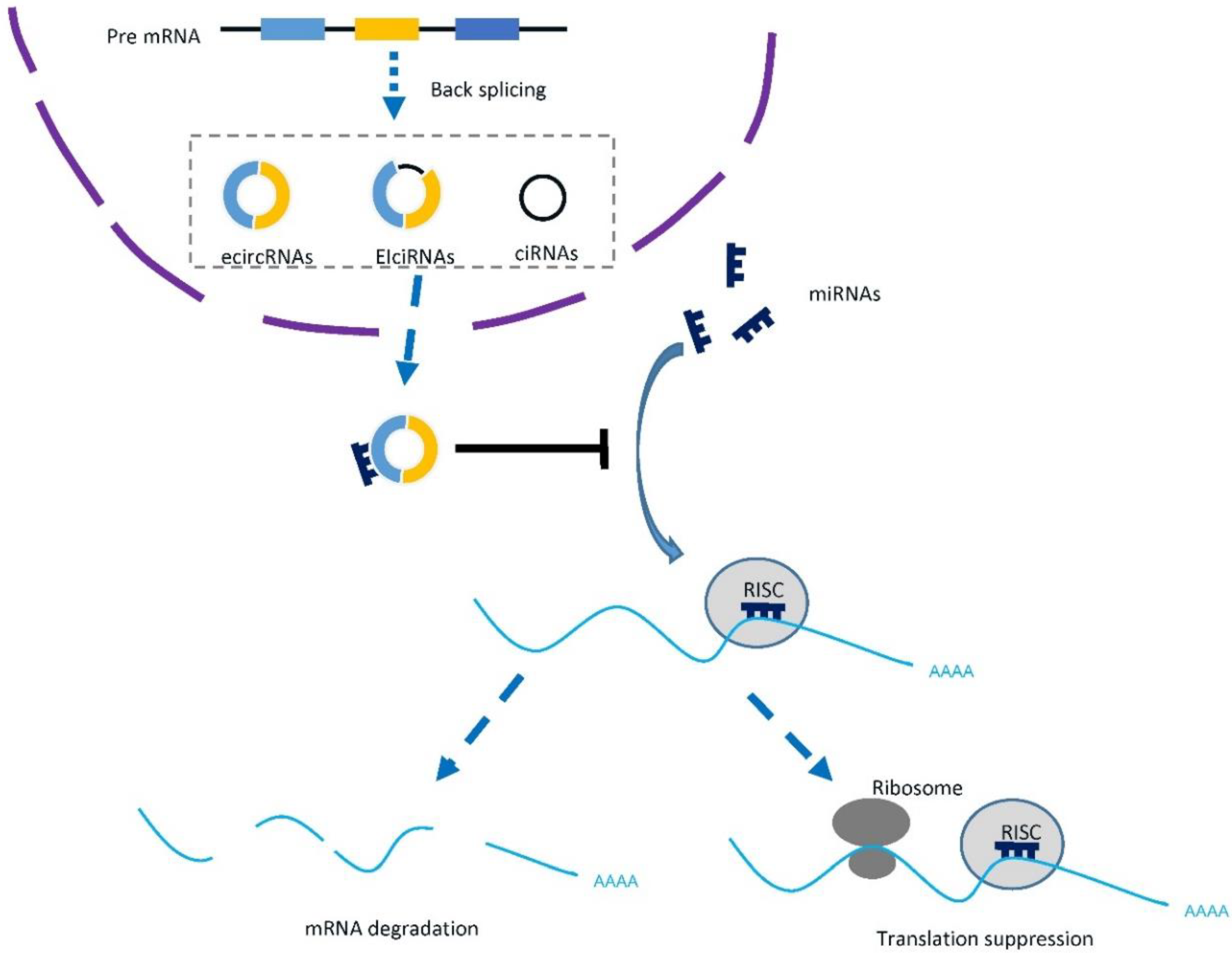 Cancers 14 00866 g001