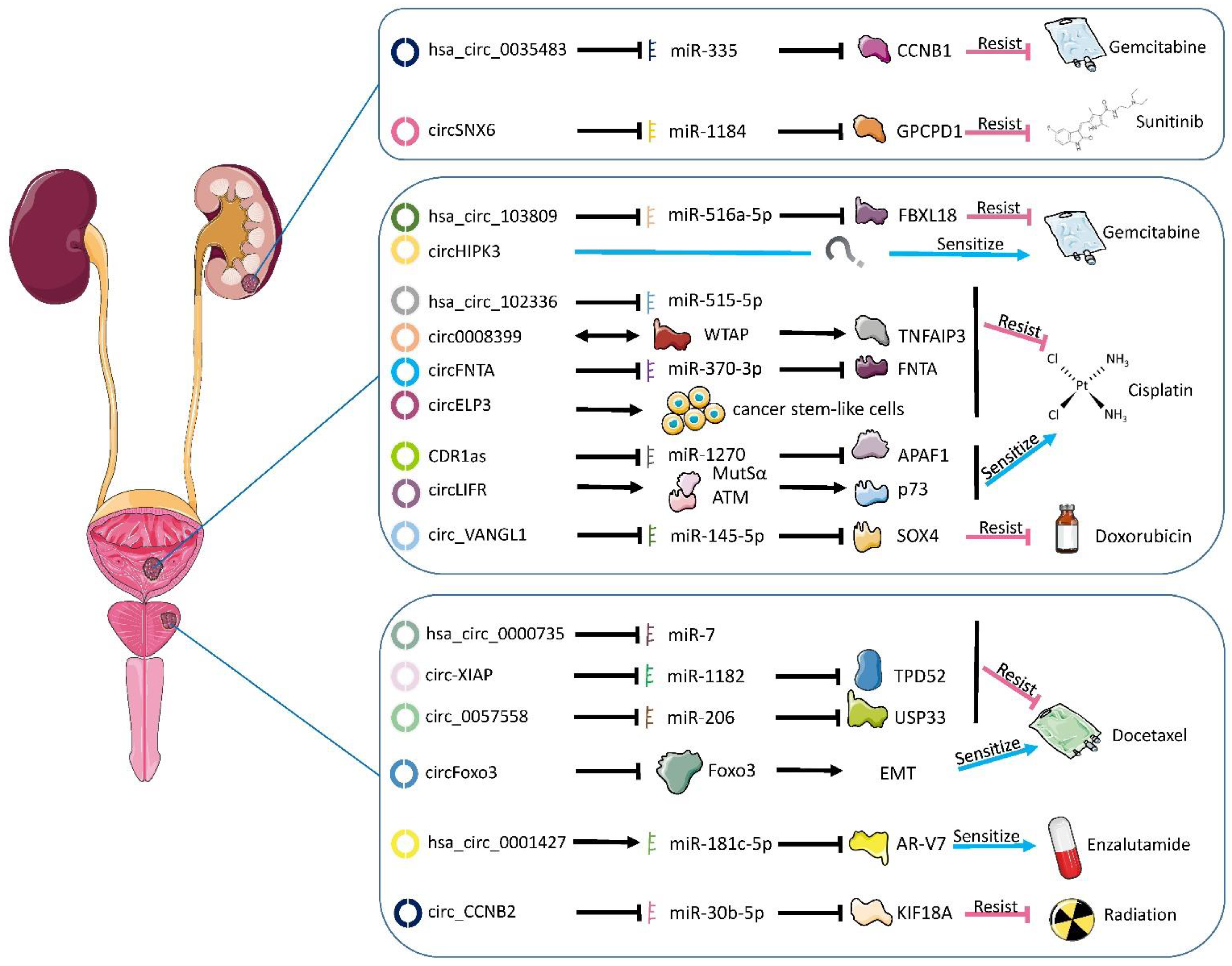 Cancers 14 00866 g002