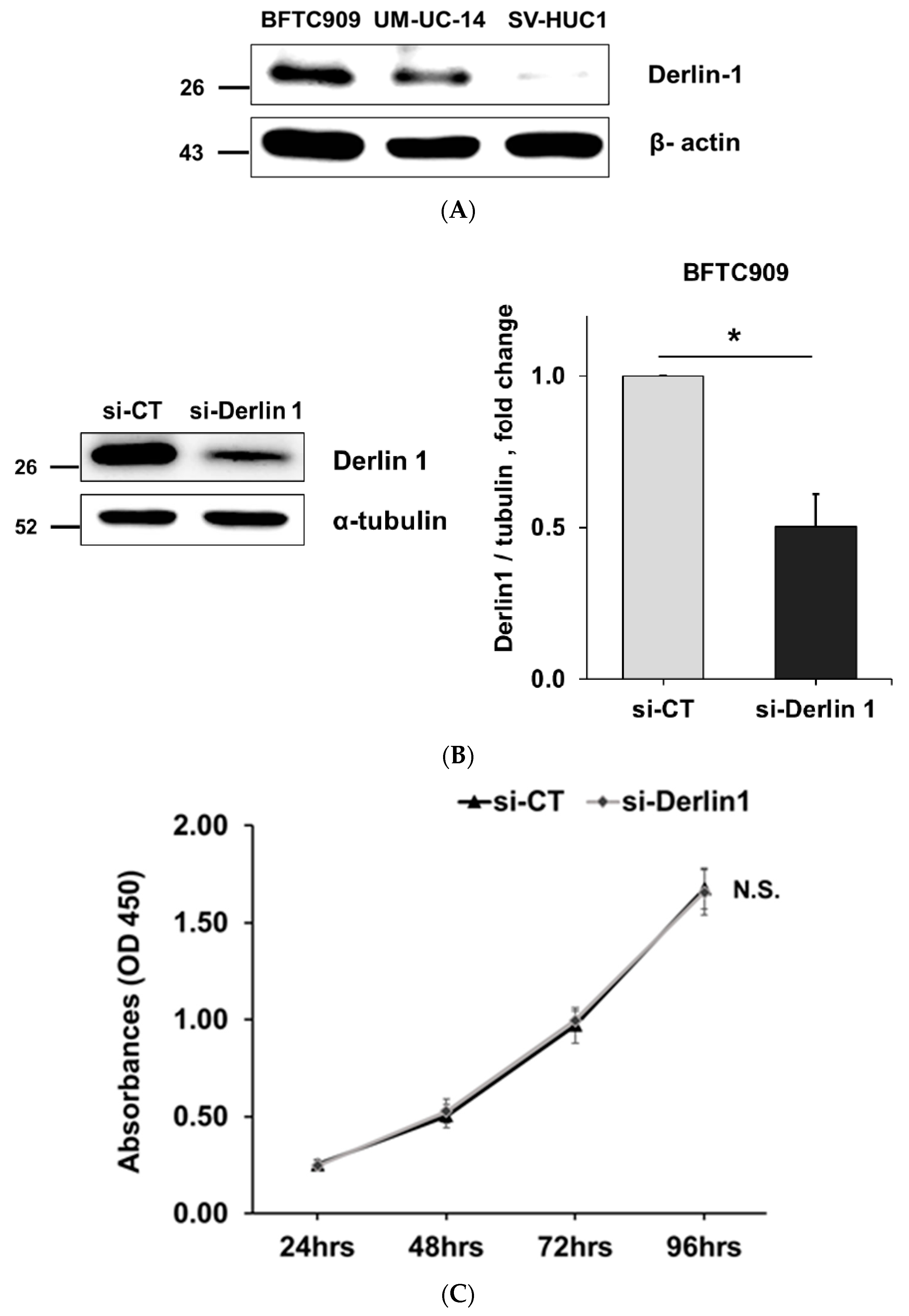 Cancers 14 00880 g002a