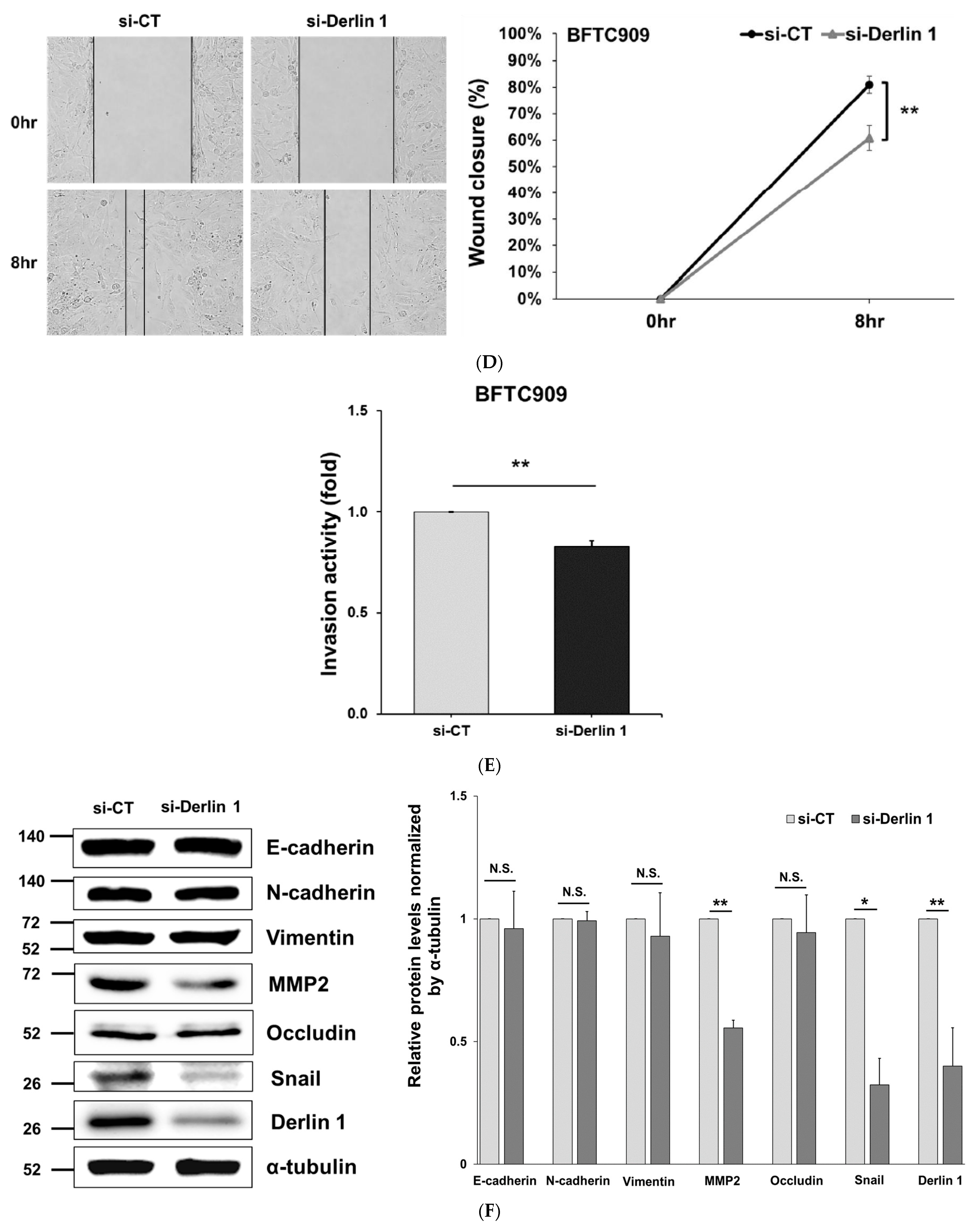 Cancers 14 00880 g002b