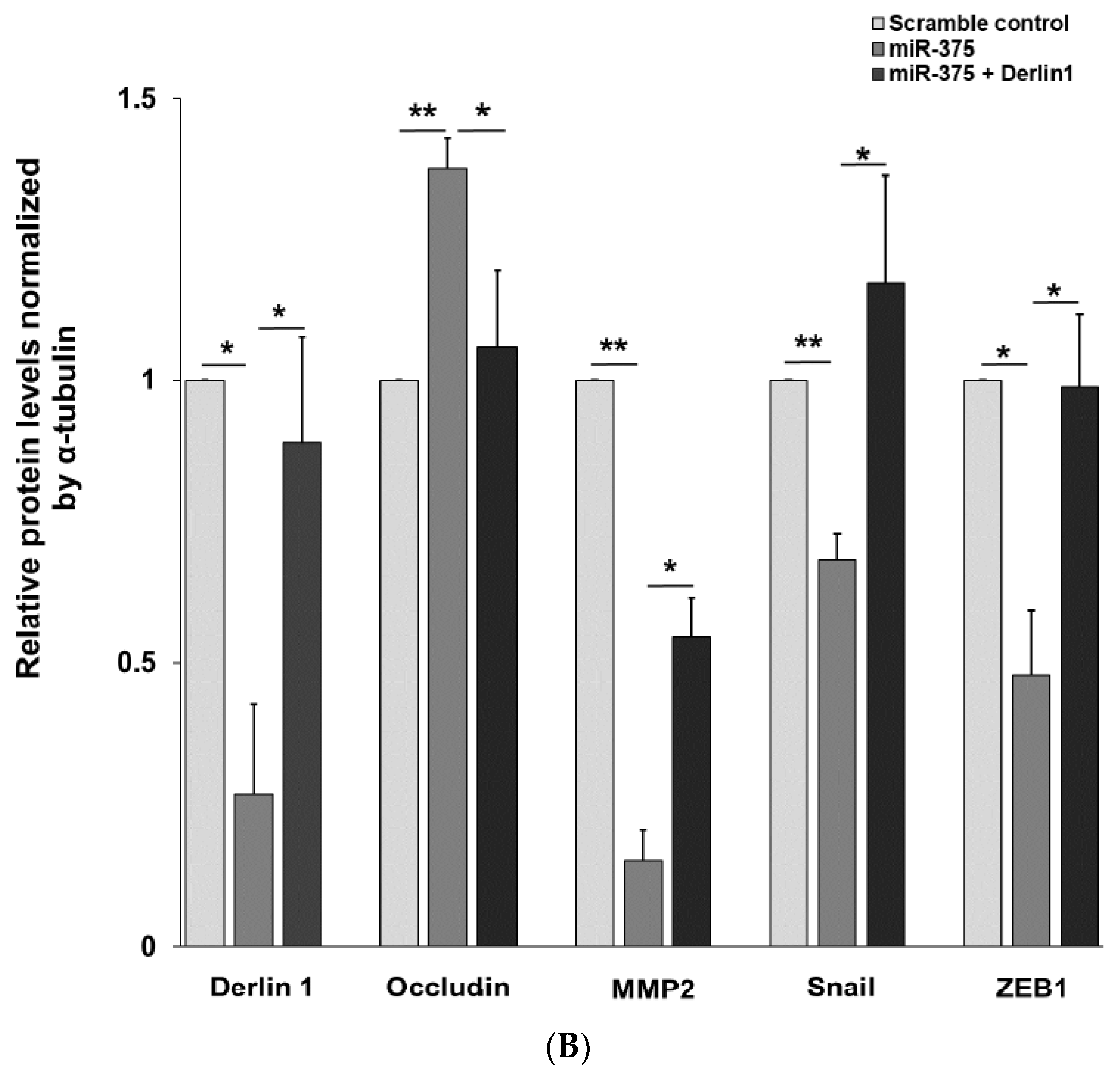 Cancers 14 00880 g005b