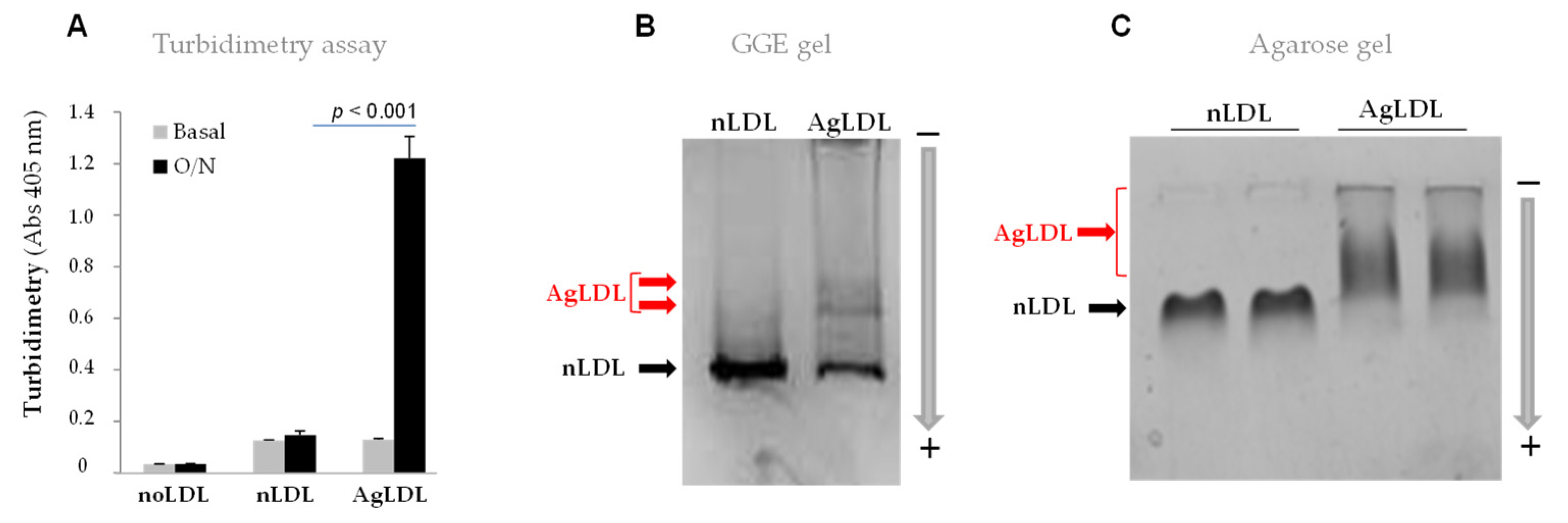 Cancers 14 00890 g001