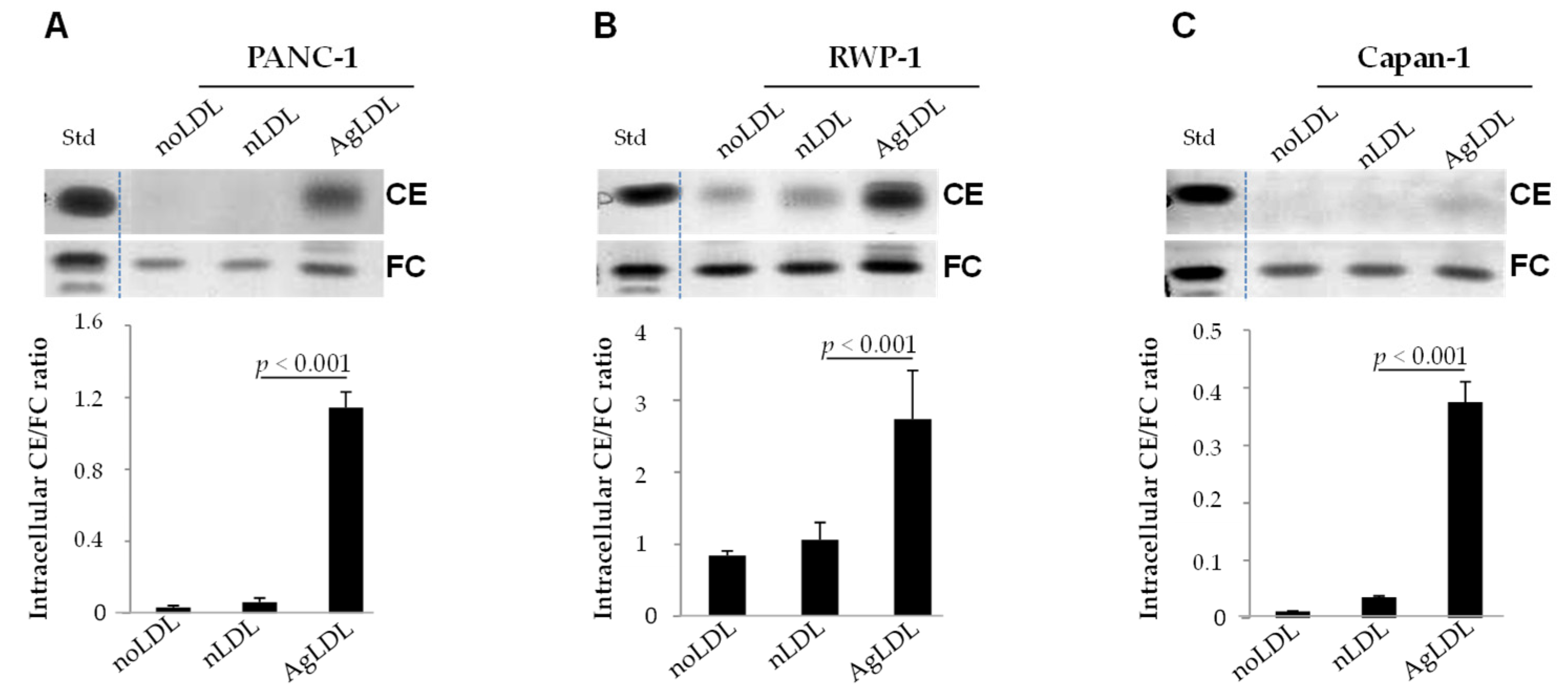 Cancers 14 00890 g002