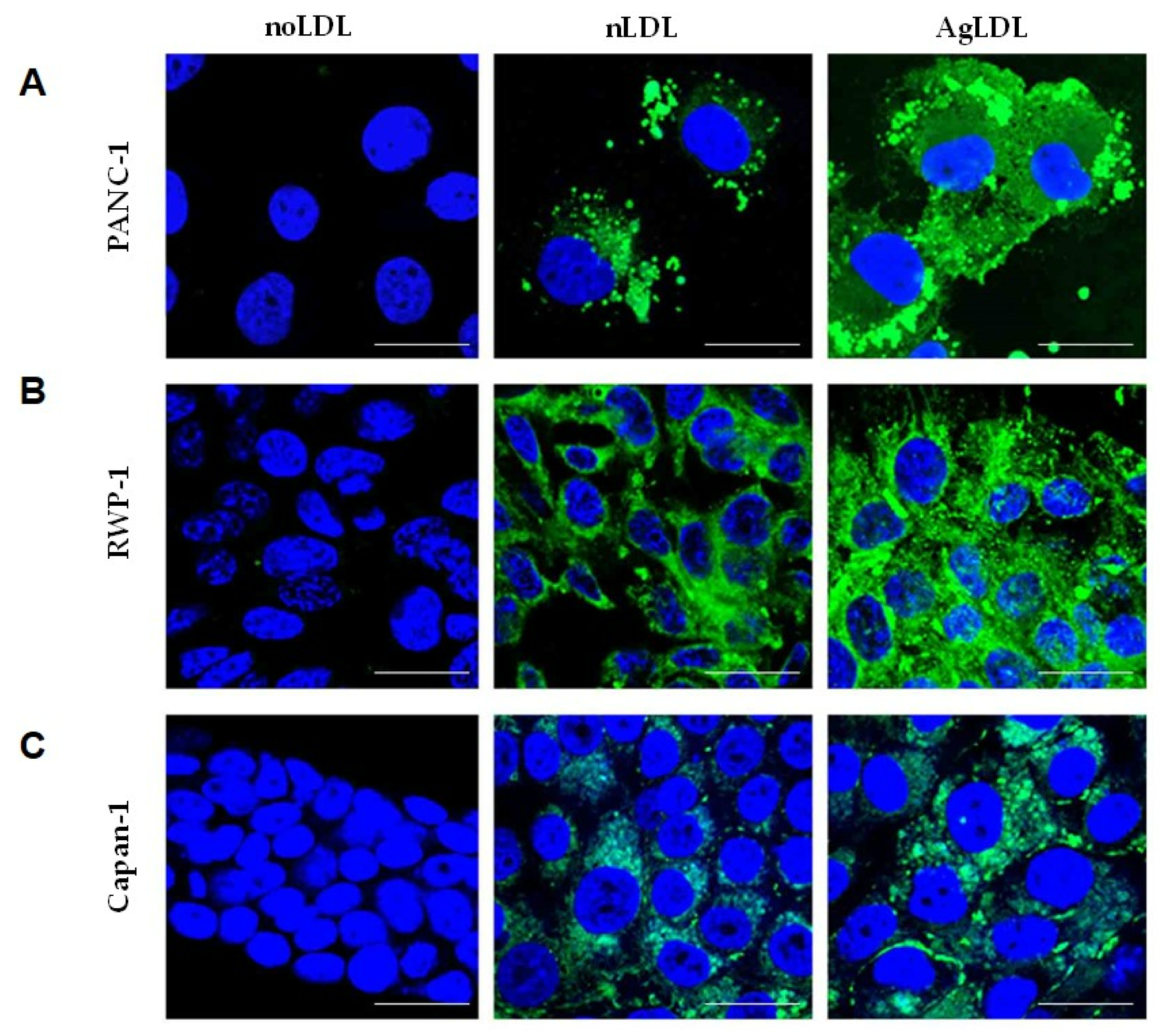 Cancers 14 00890 g003