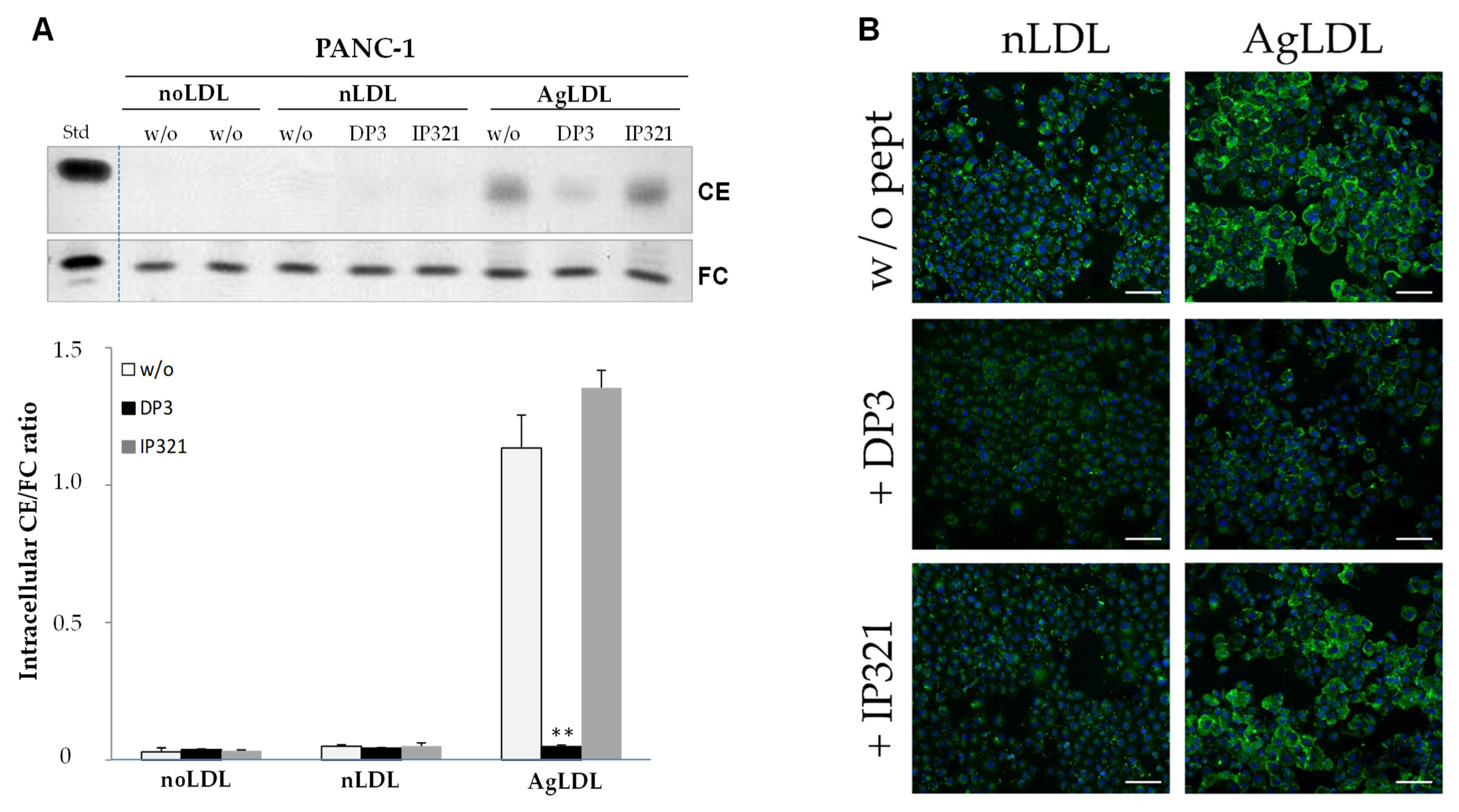 Cancers 14 00890 g005