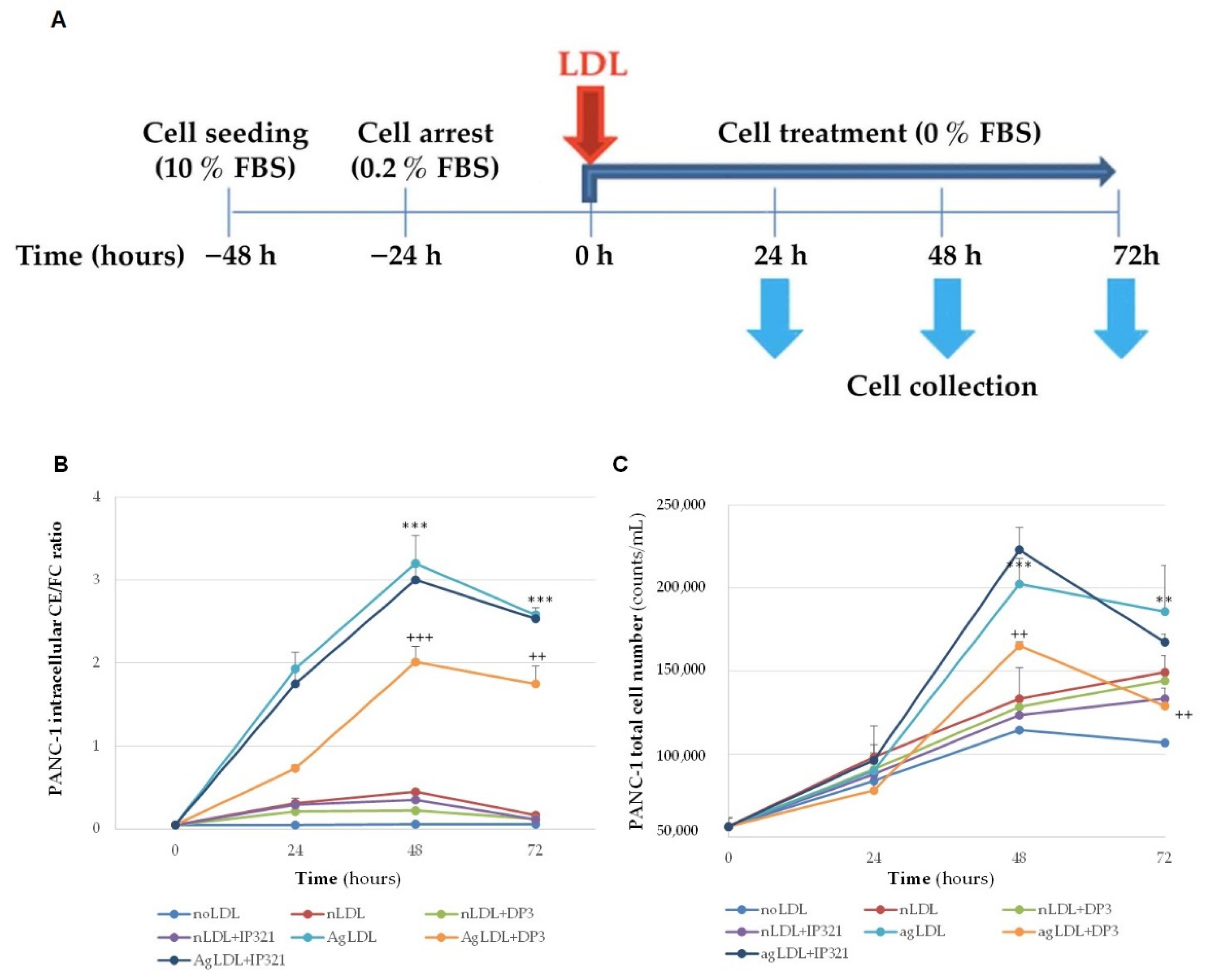 Cancers 14 00890 g006