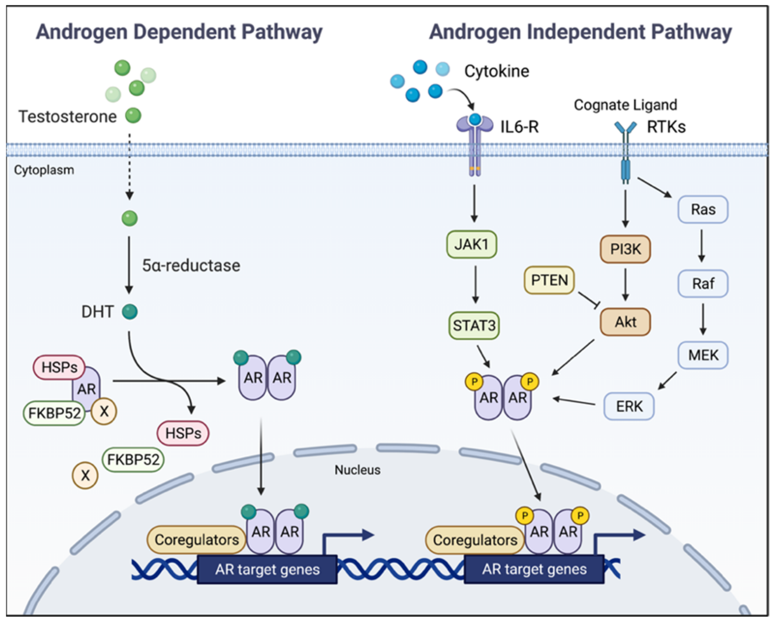 Cancers 14 00892 g001