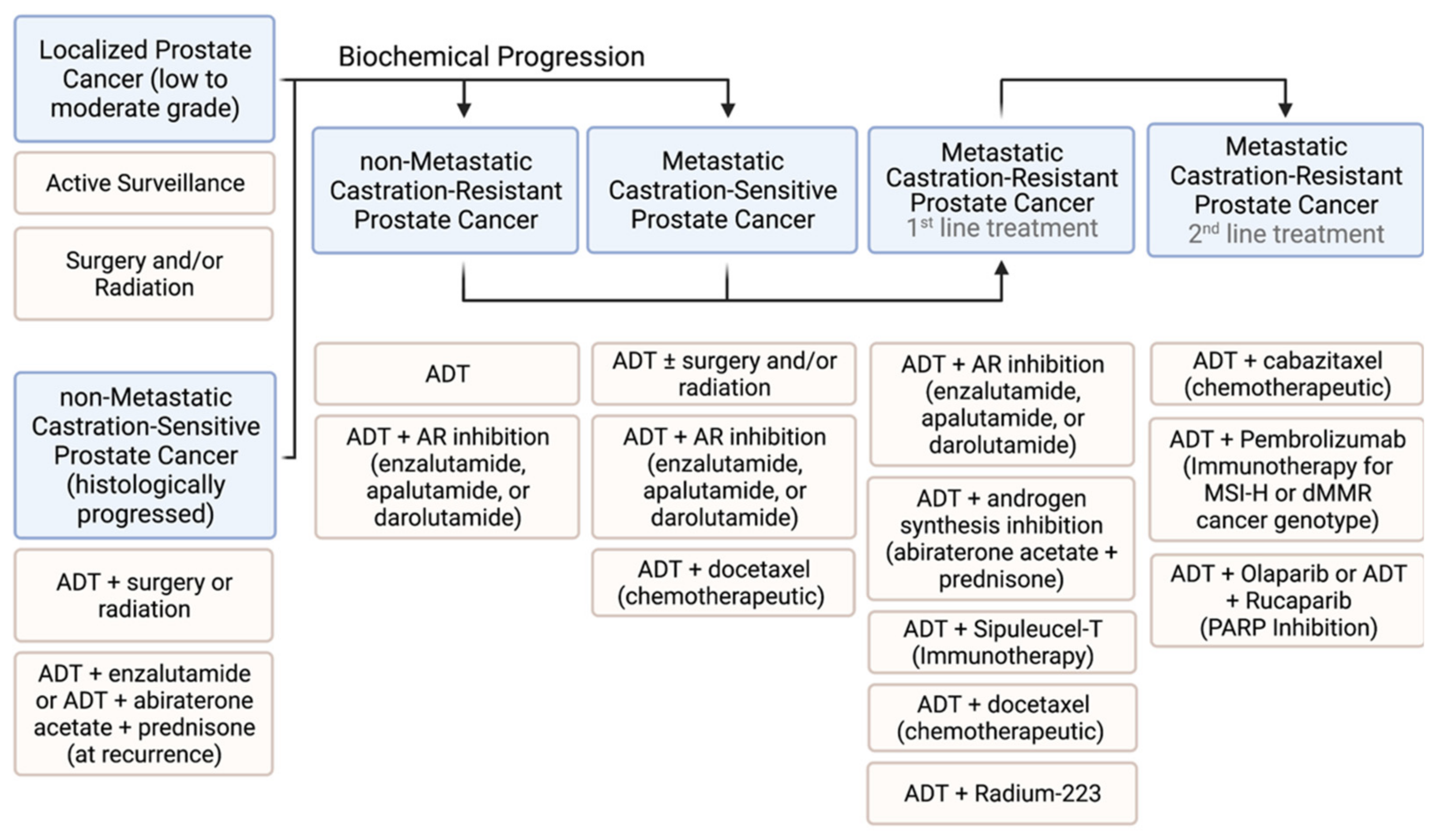 Cancers 14 00892 g002