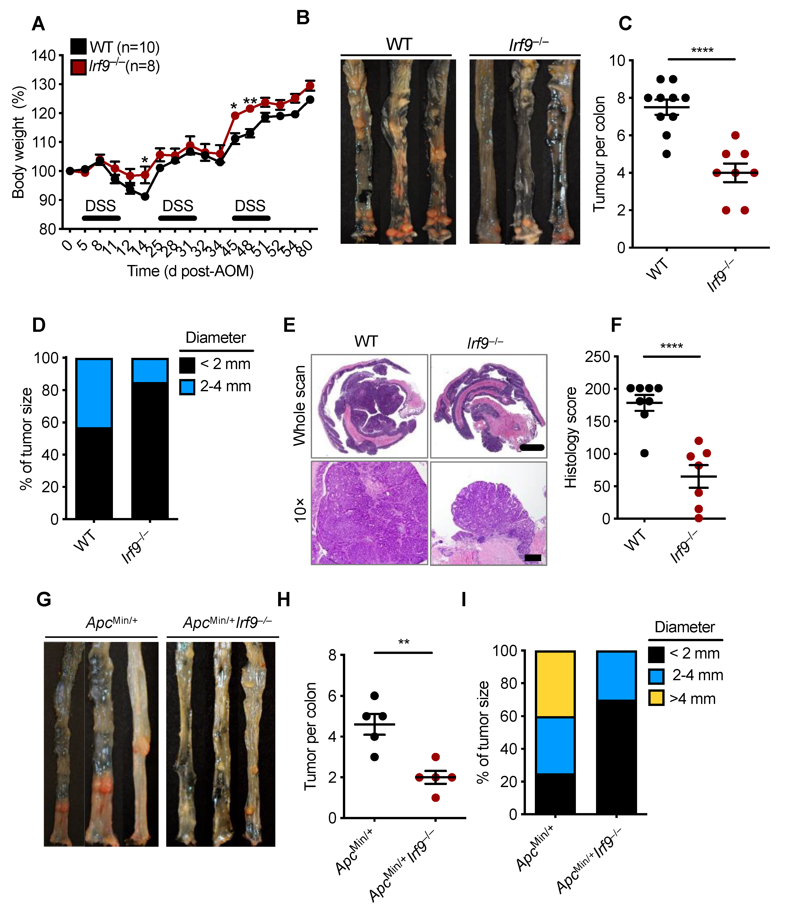 Cancers 14 00919 g001