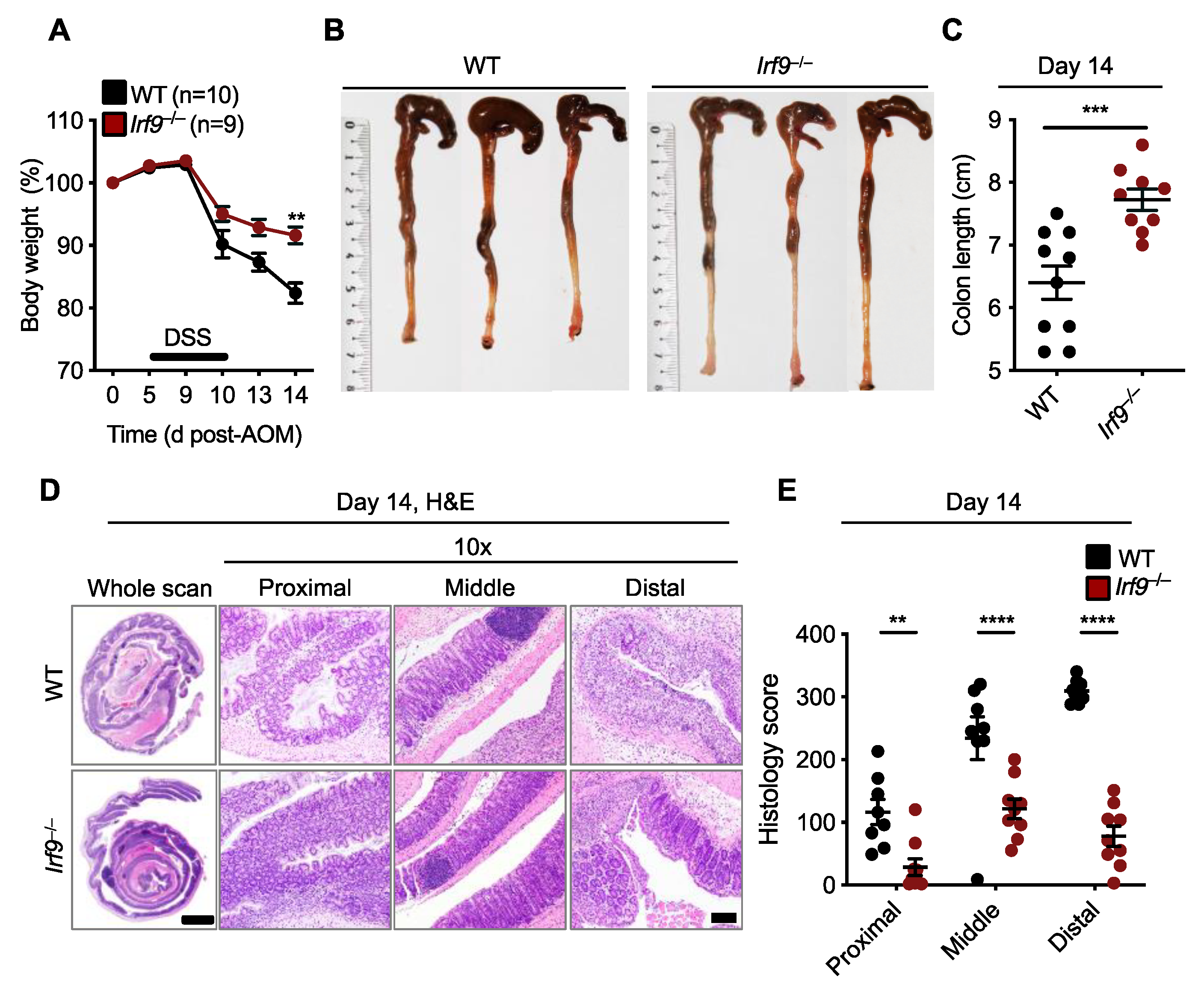 Cancers 14 00919 g002