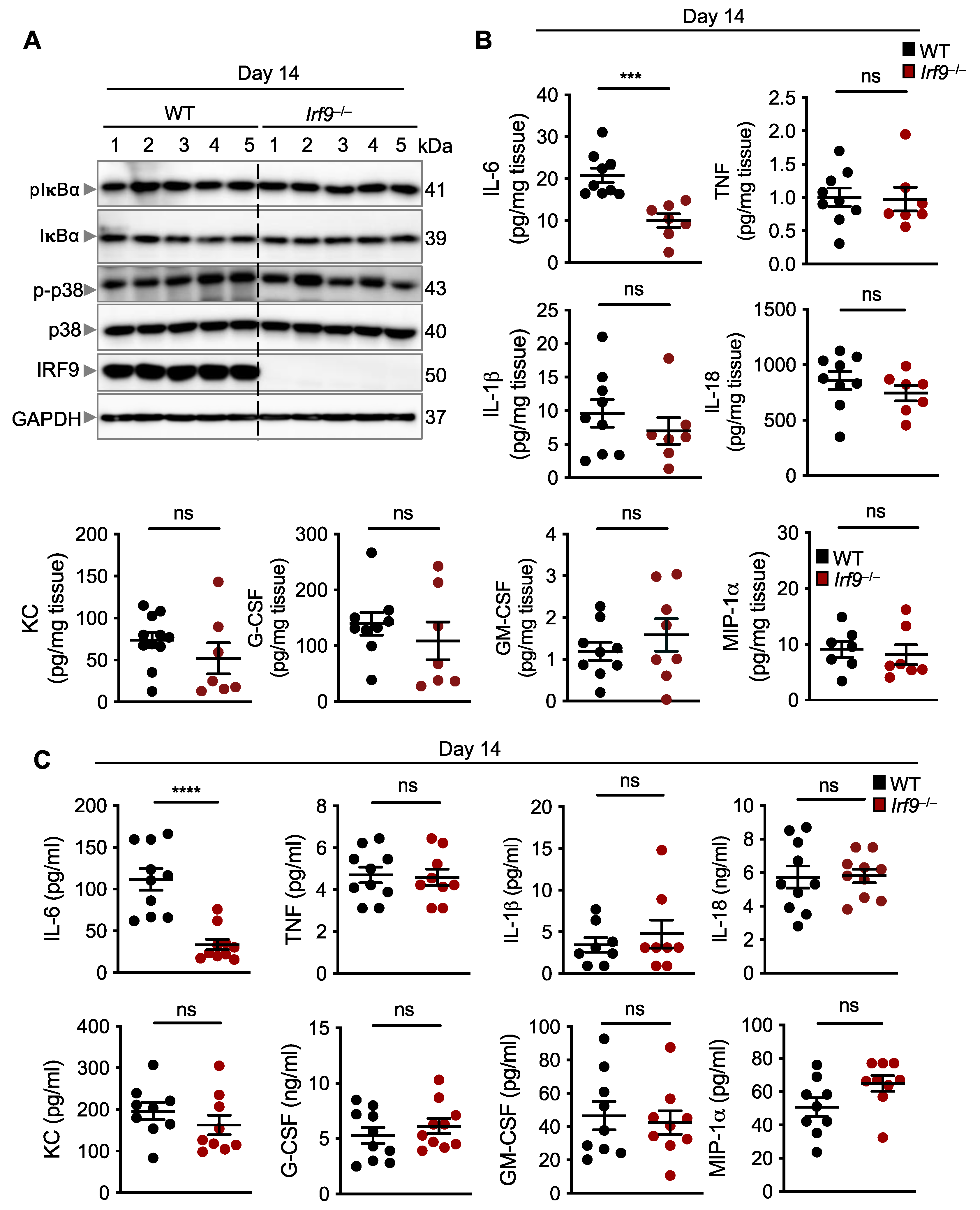 Cancers 14 00919 g003