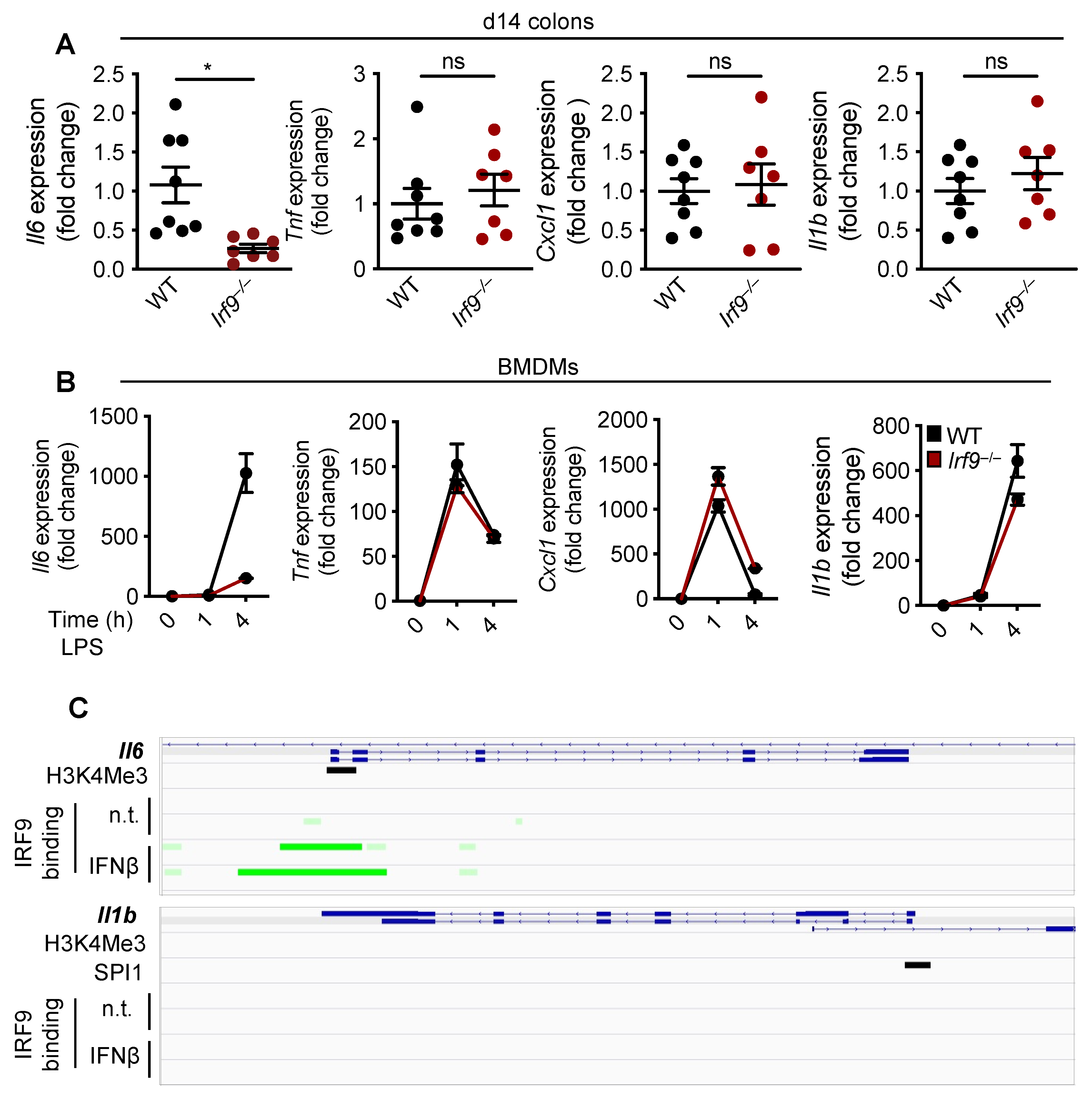 Cancers 14 00919 g004