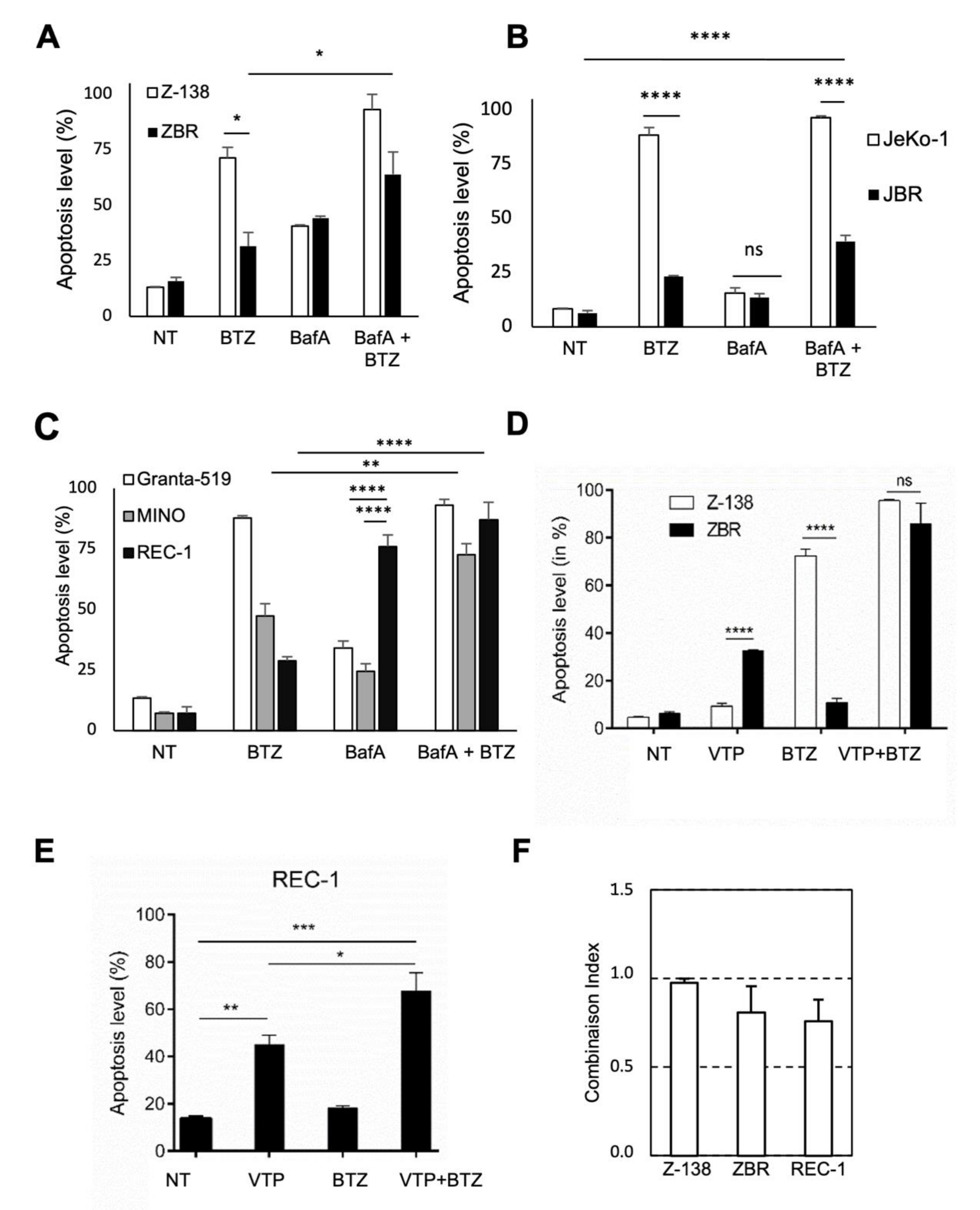 Cancers 14 00923 g005