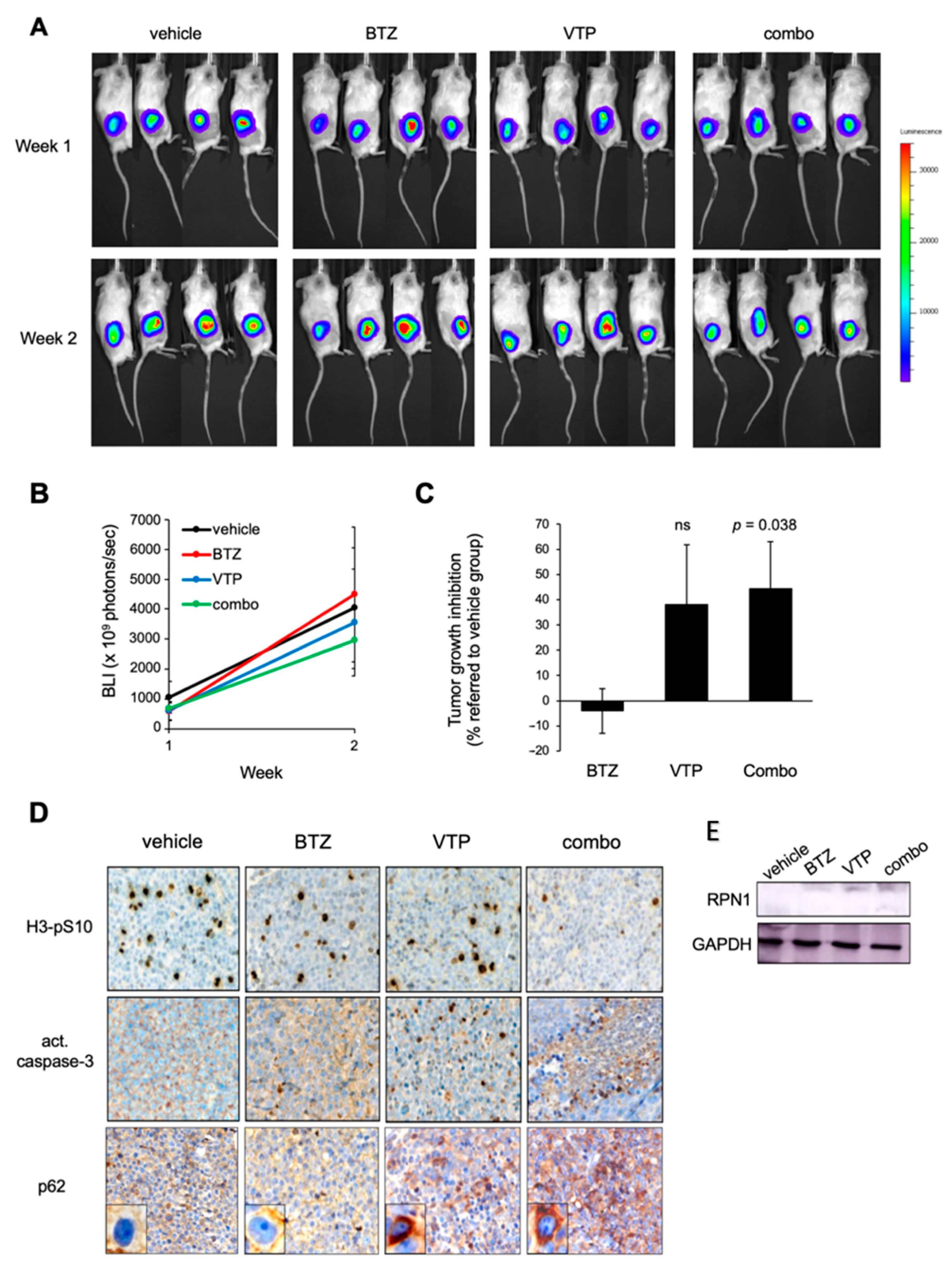 Cancers 14 00923 g006