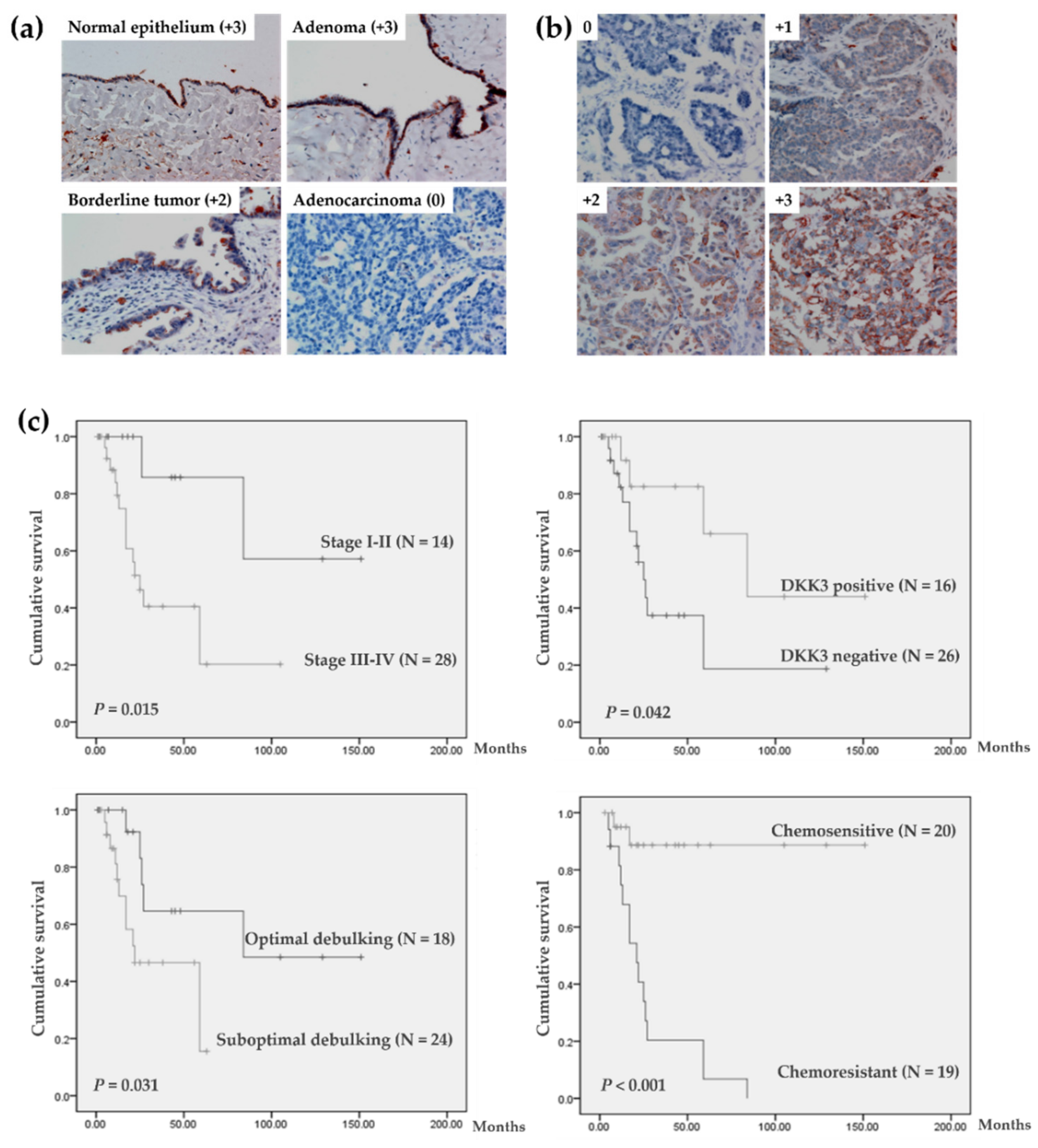 Cancers 14 00924 g001 Cancers 14 00924 g001