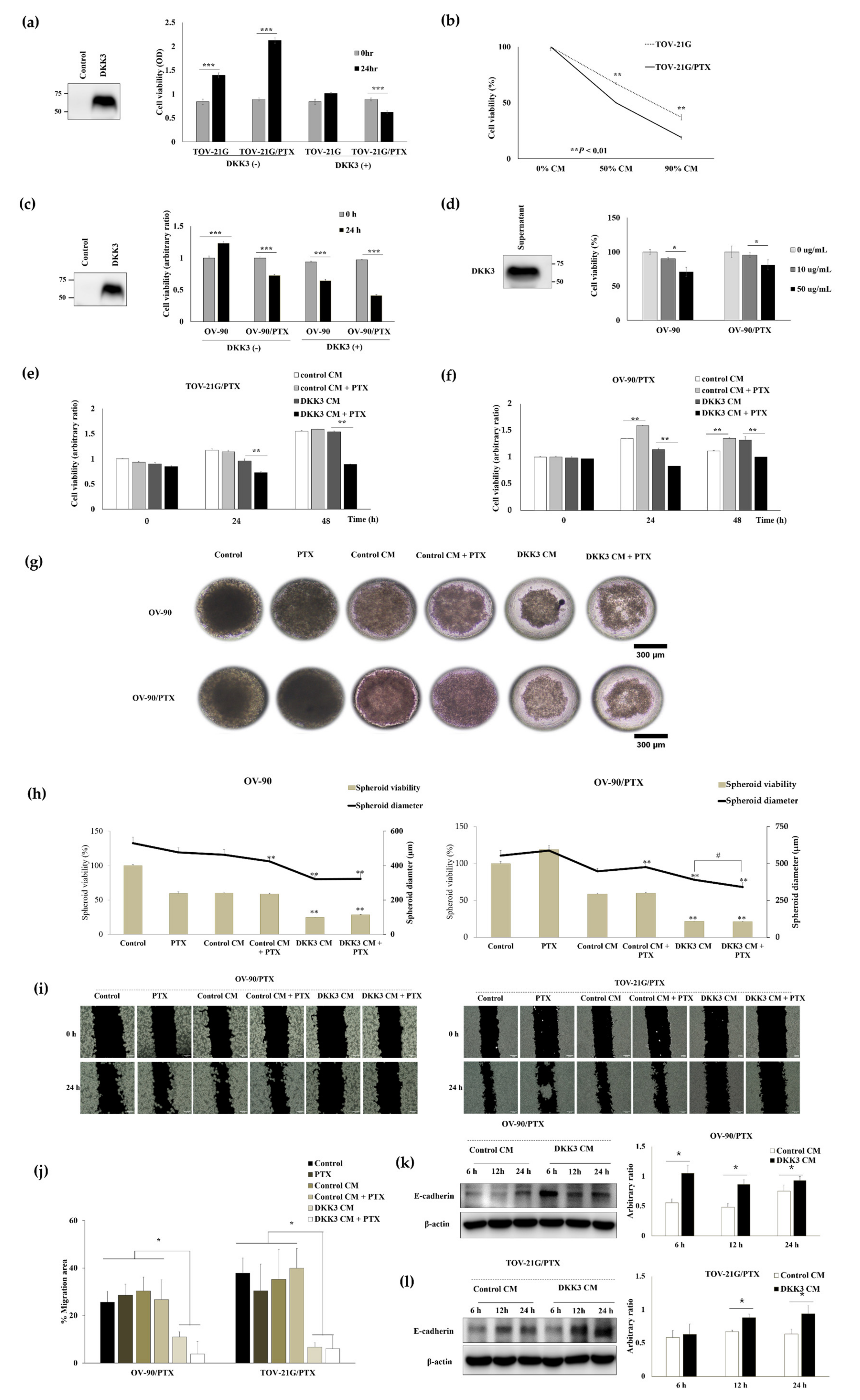 Cancers 14 00924 g003 Cancers 14 00924 g003