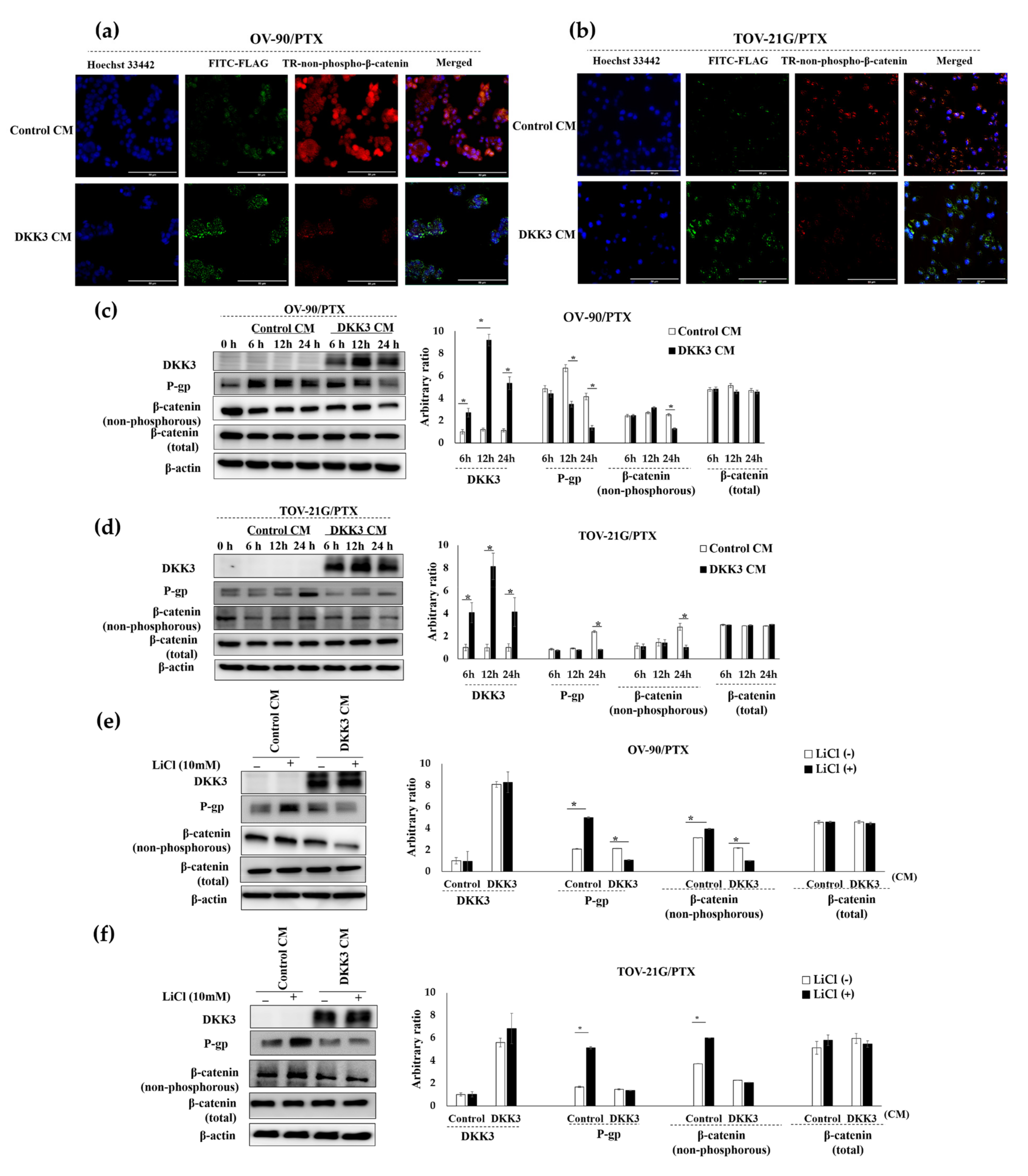 Cancers 14 00924 g004 Cancers 14 00924 g004