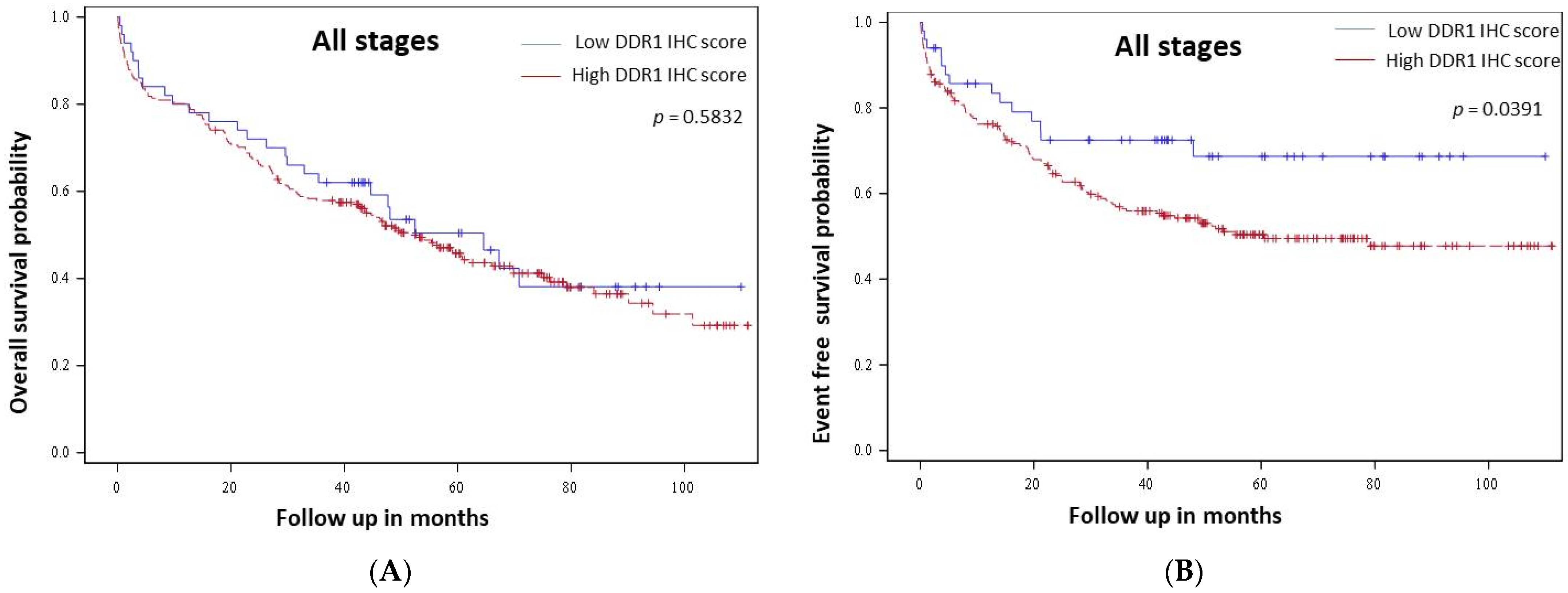Cancers 14 00928 g002