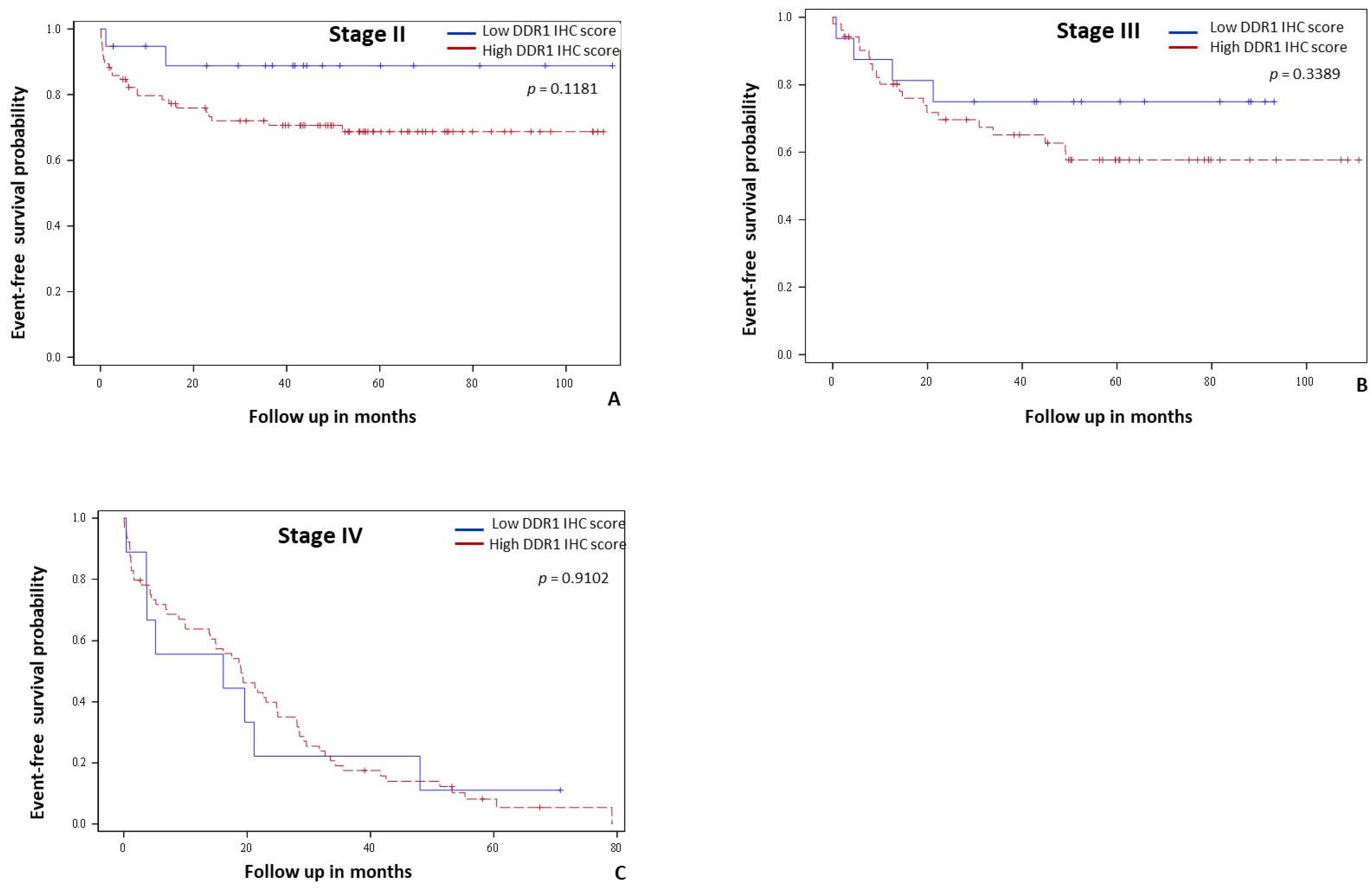 Cancers 14 00928 g003