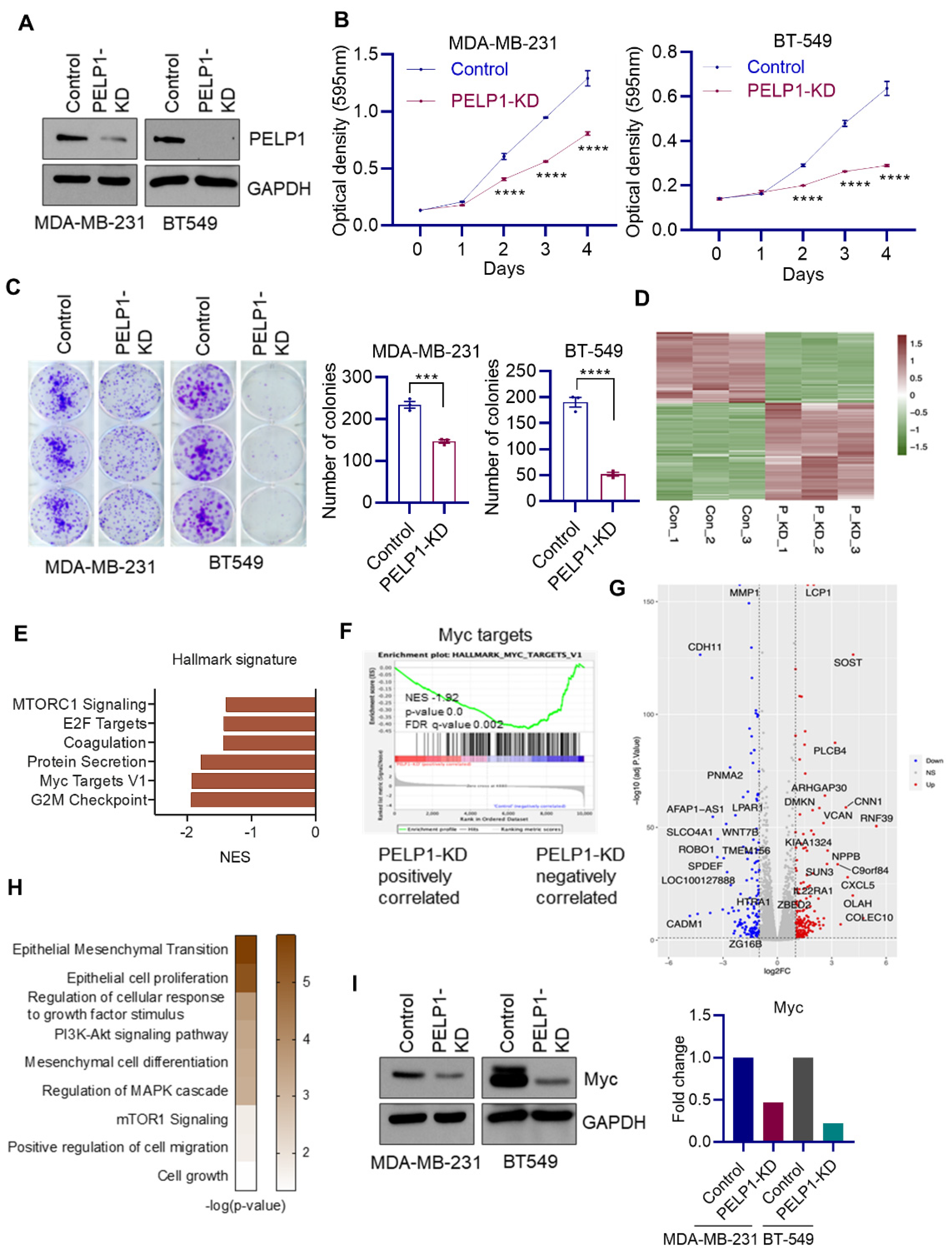 Cancers 14 00930 g003