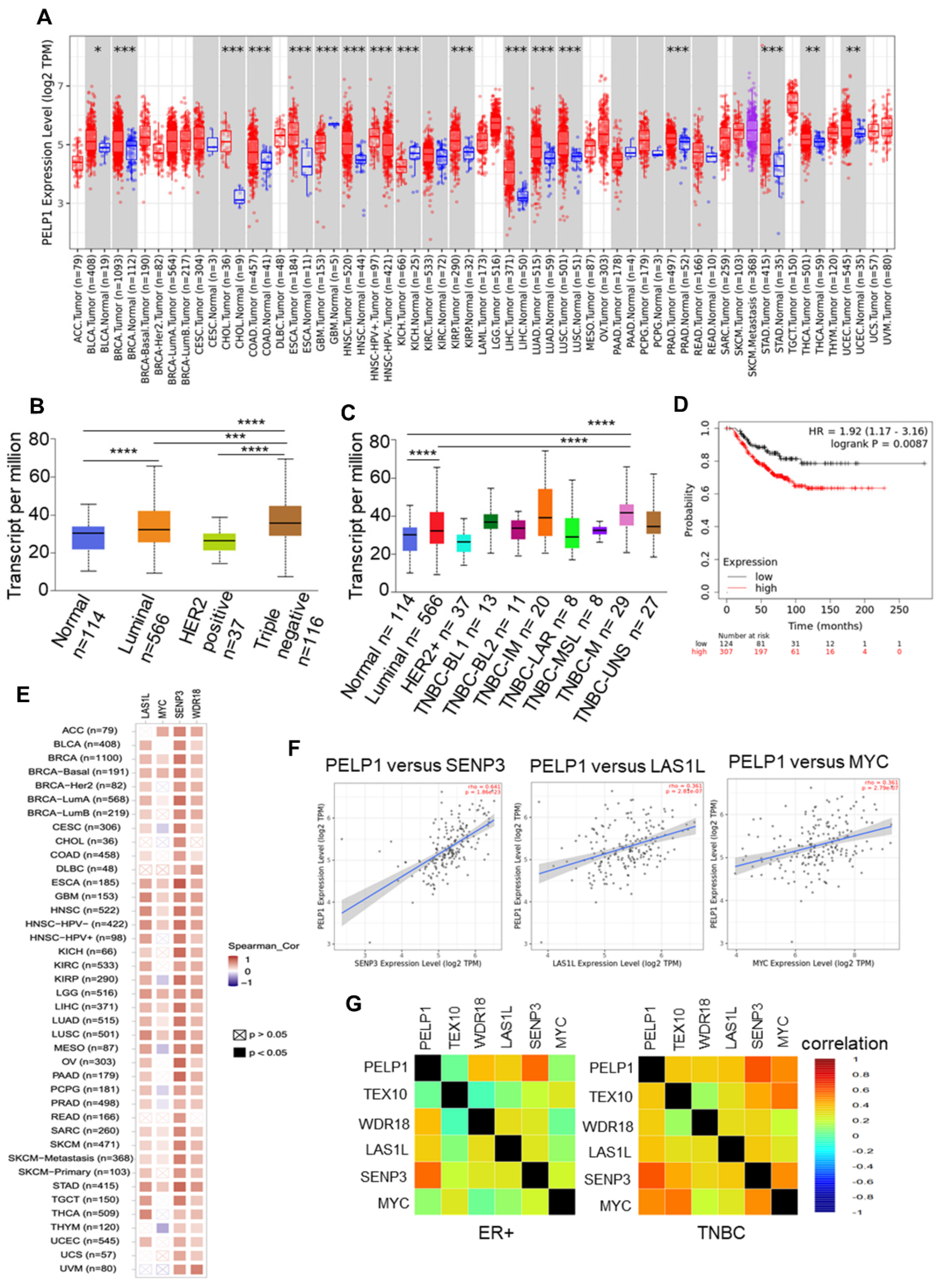 Cancers 14 00930 g004
