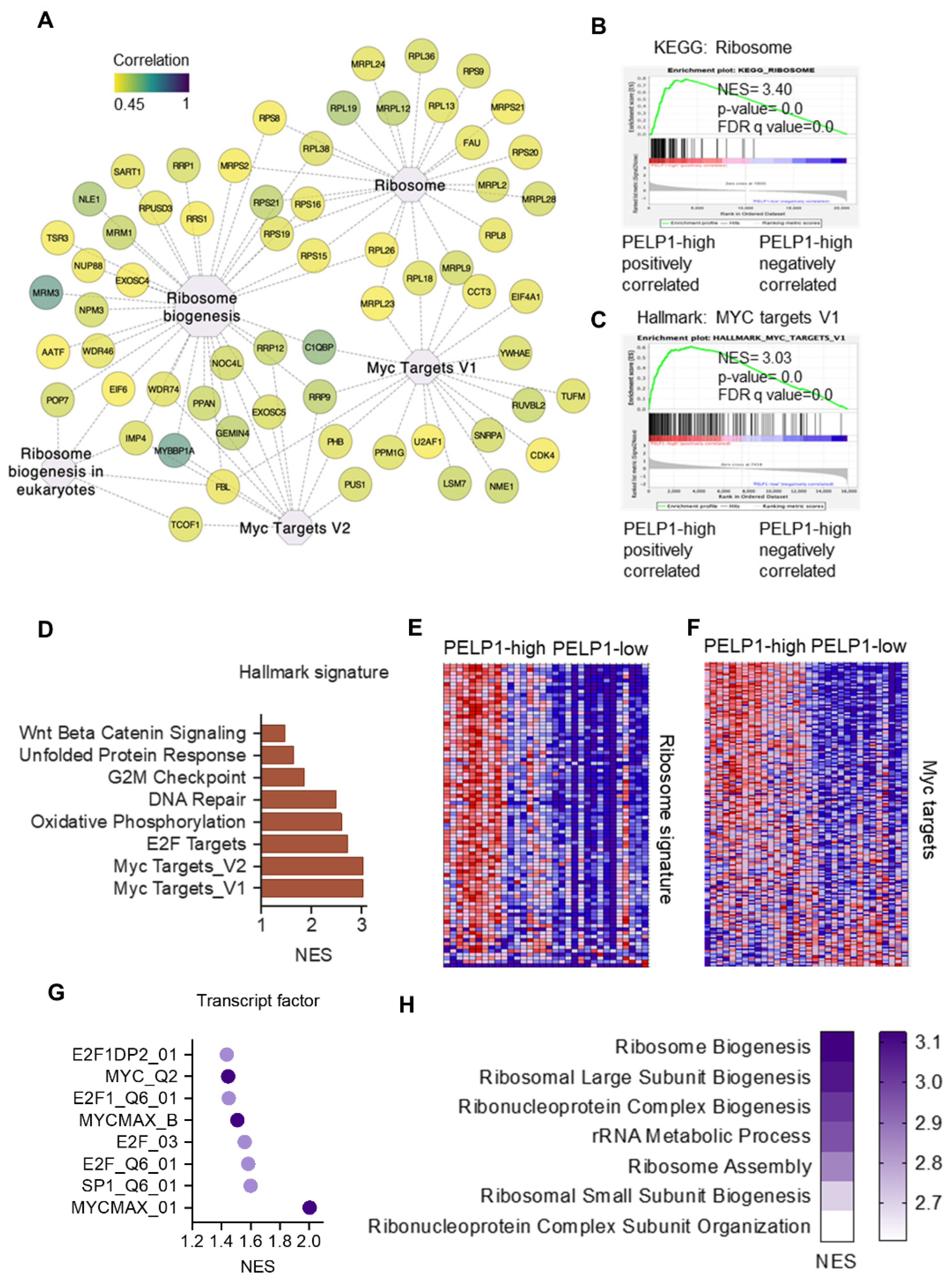 Cancers 14 00930 g005