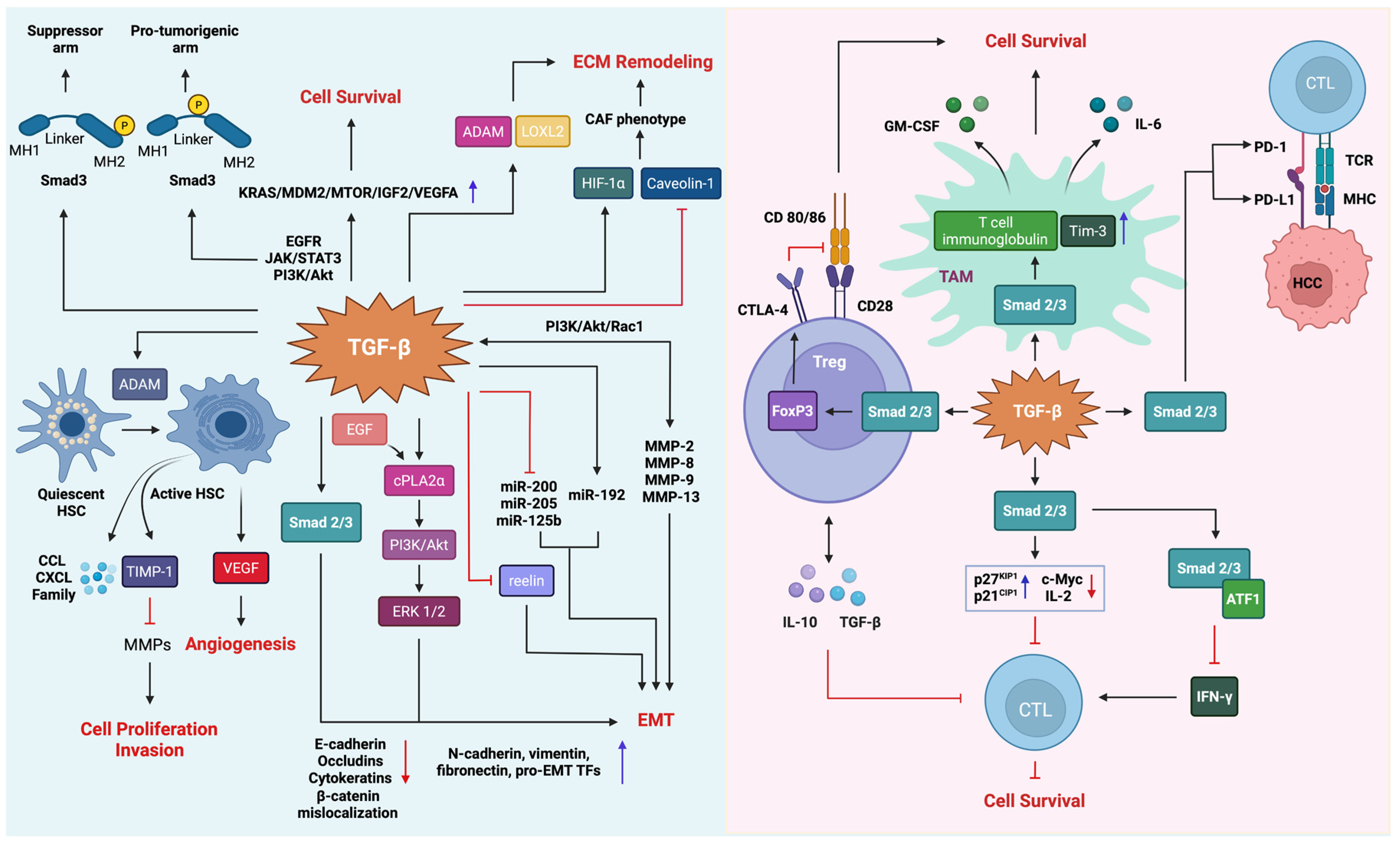 Cancers 14 00940 g004