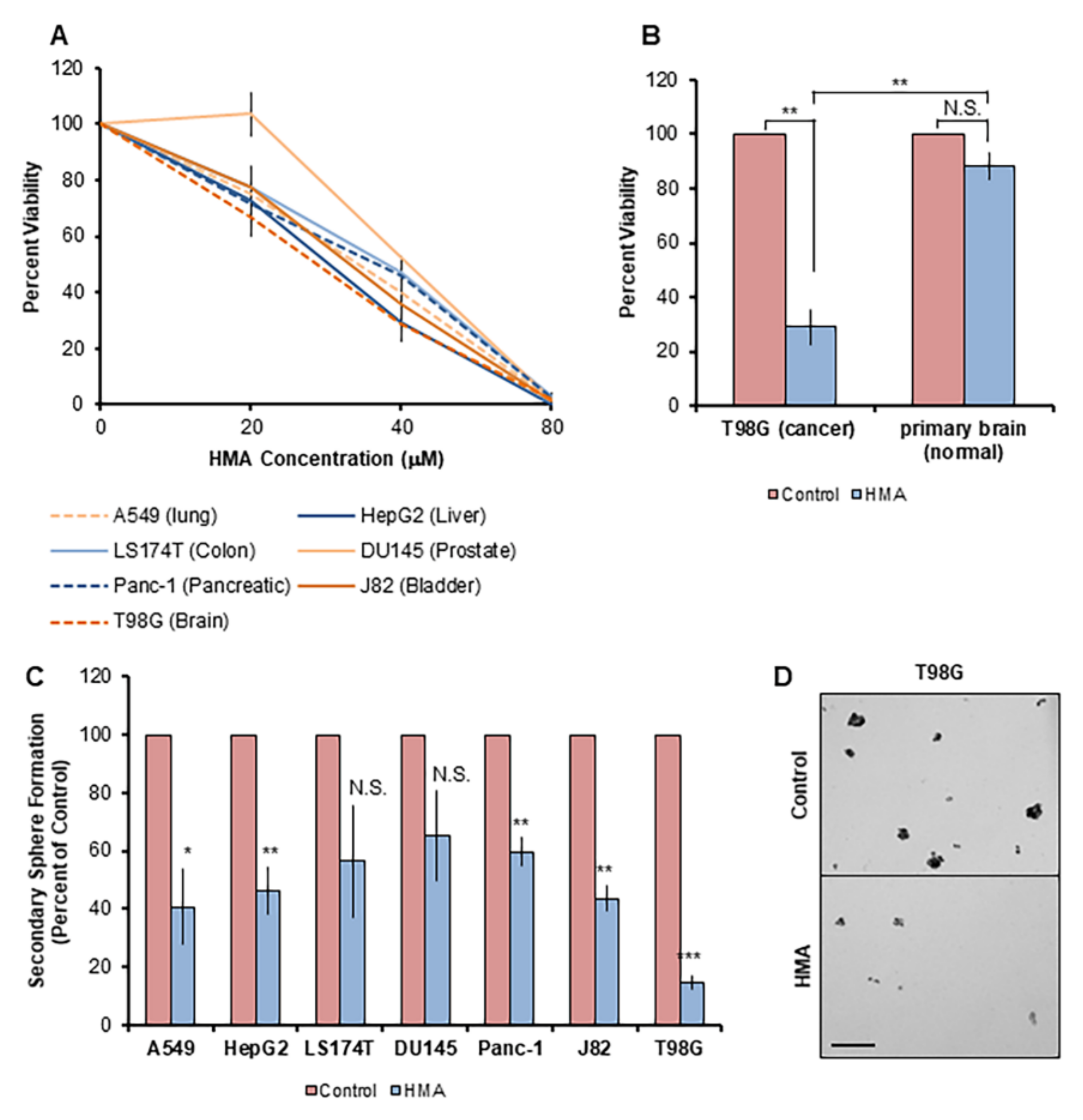 Cancers 14 00949 g005