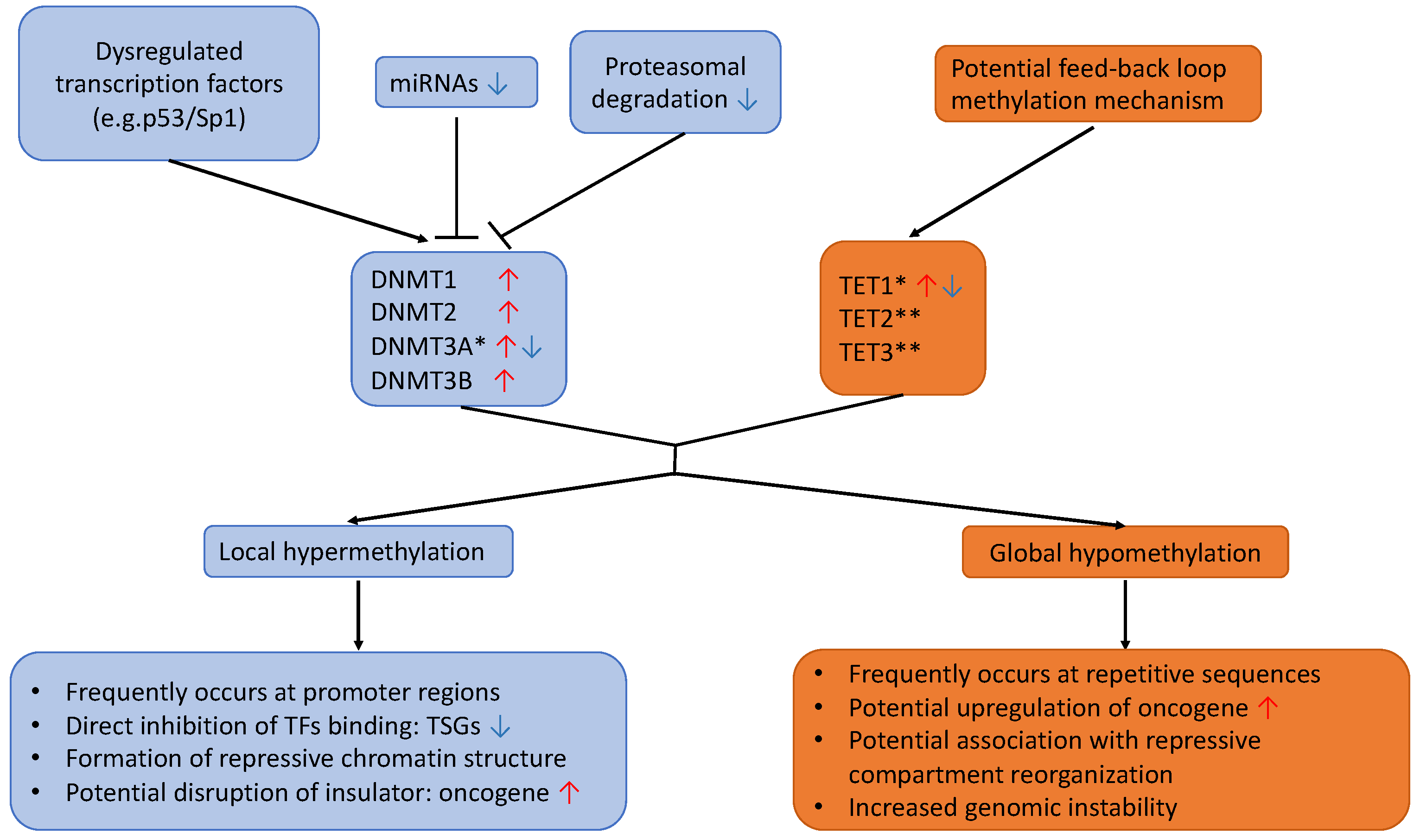 Cancers 14 00961 g003 Cancers 14 00961 g003