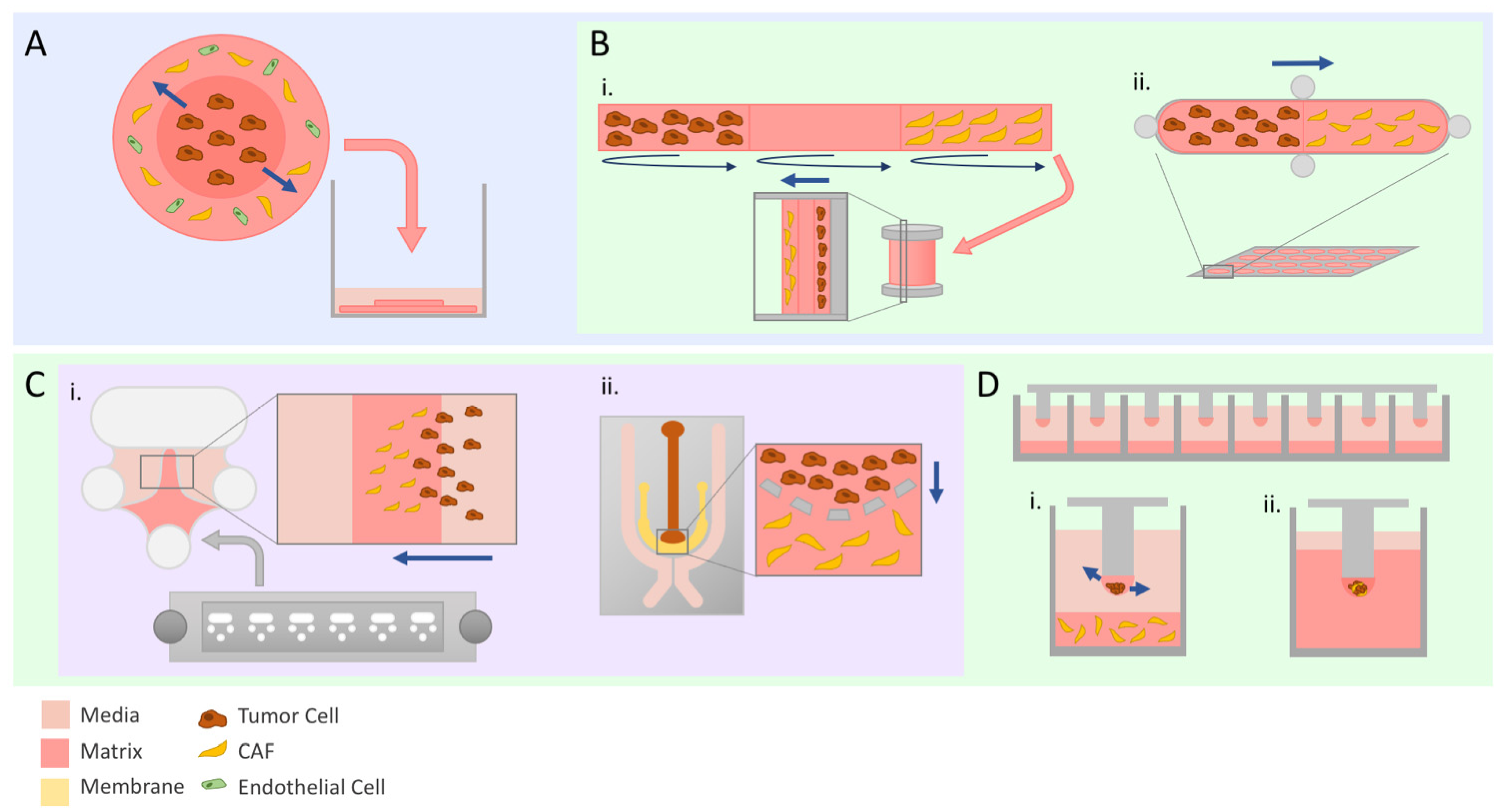Cancers 14 00962 g002