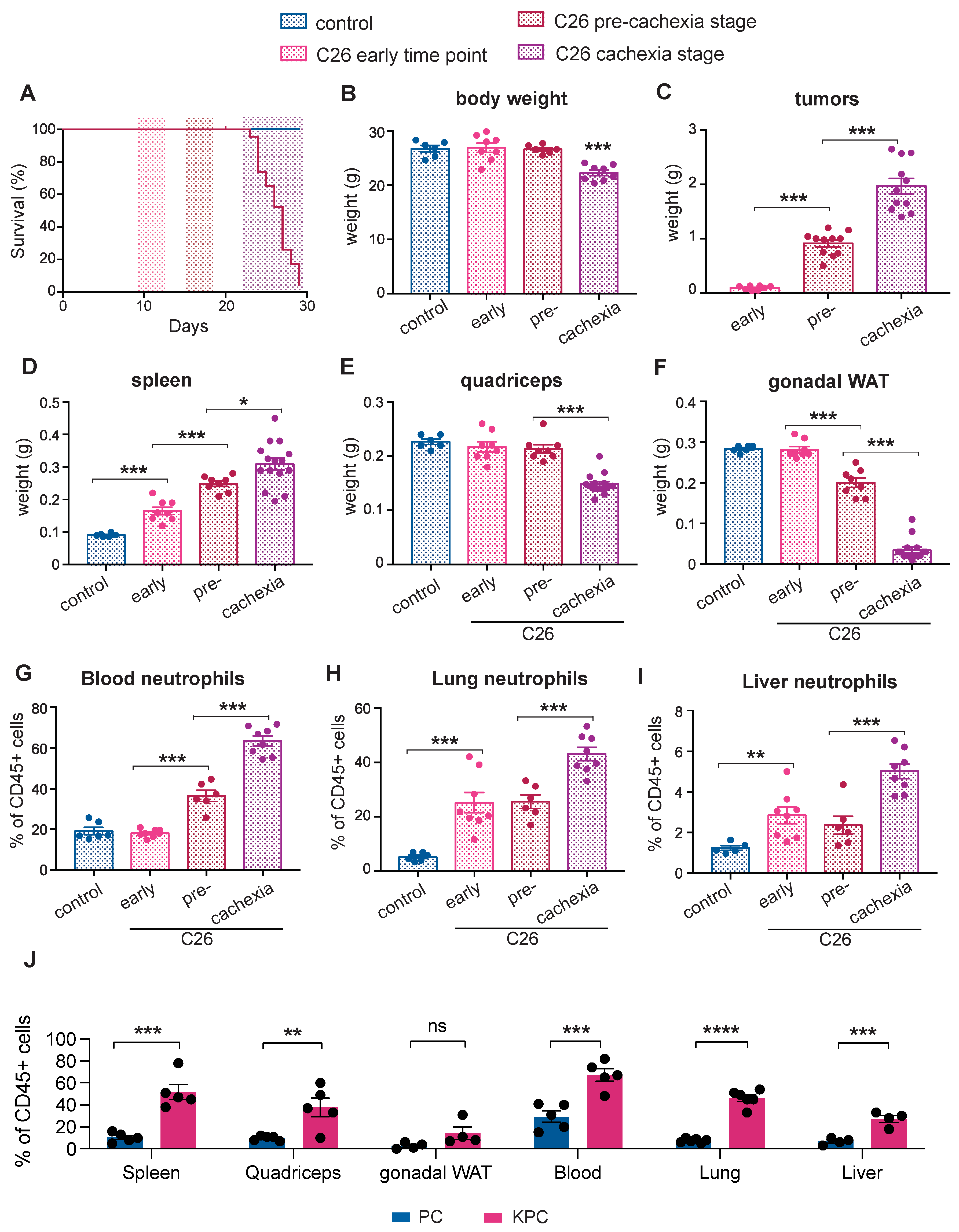 Cancers 14 00963 g001