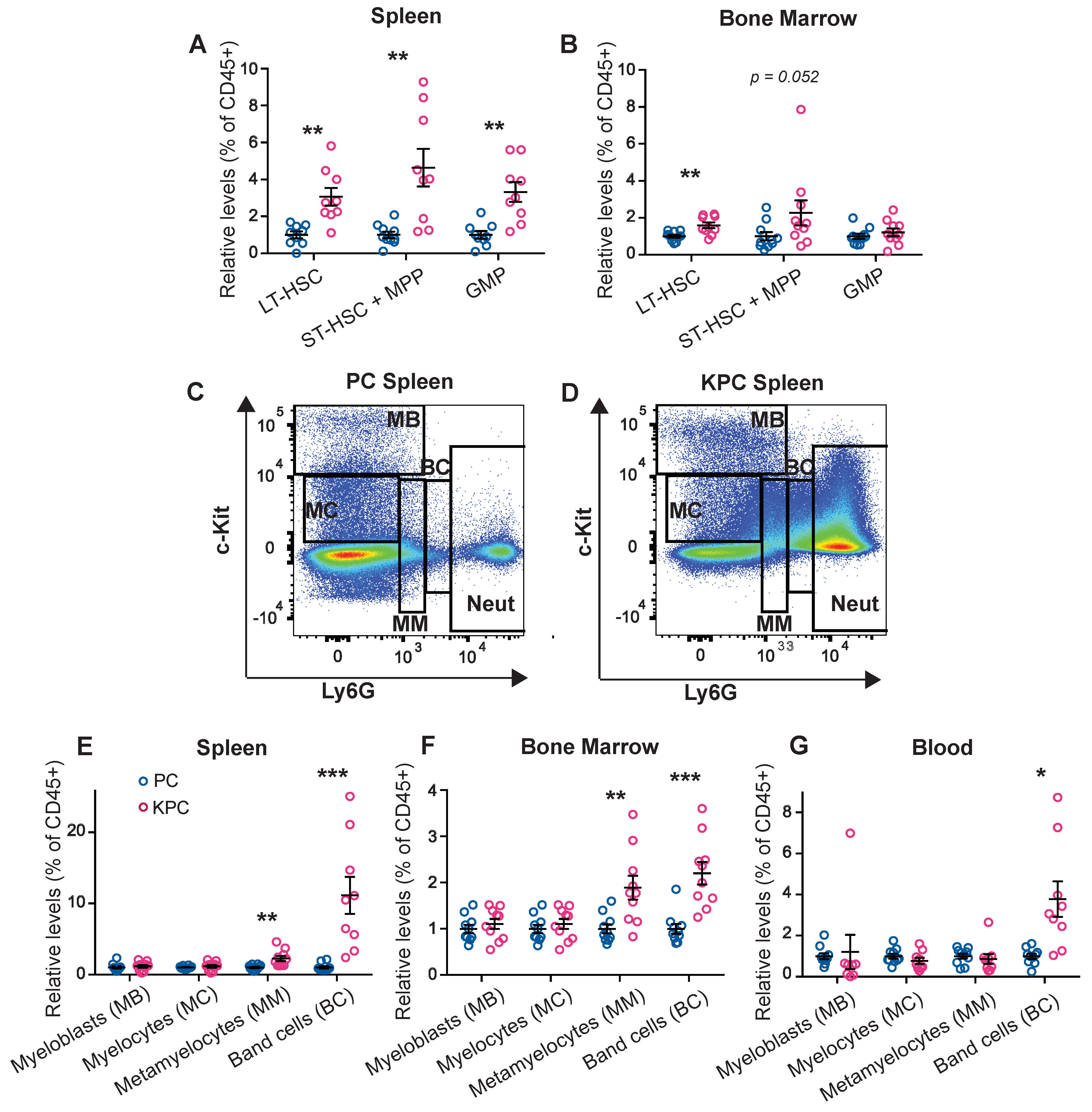 Cancers 14 00963 g002