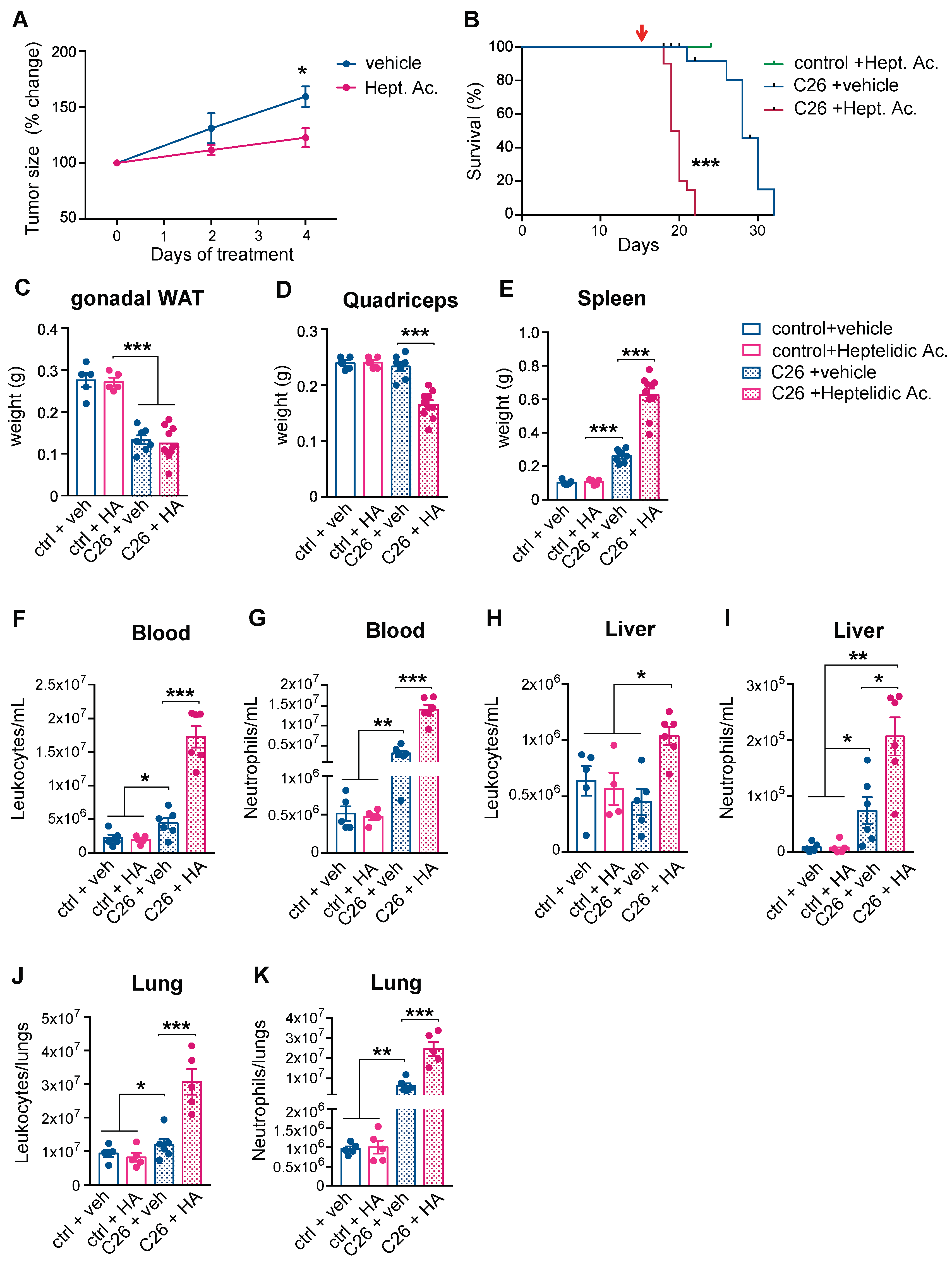 Cancers 14 00963 g004