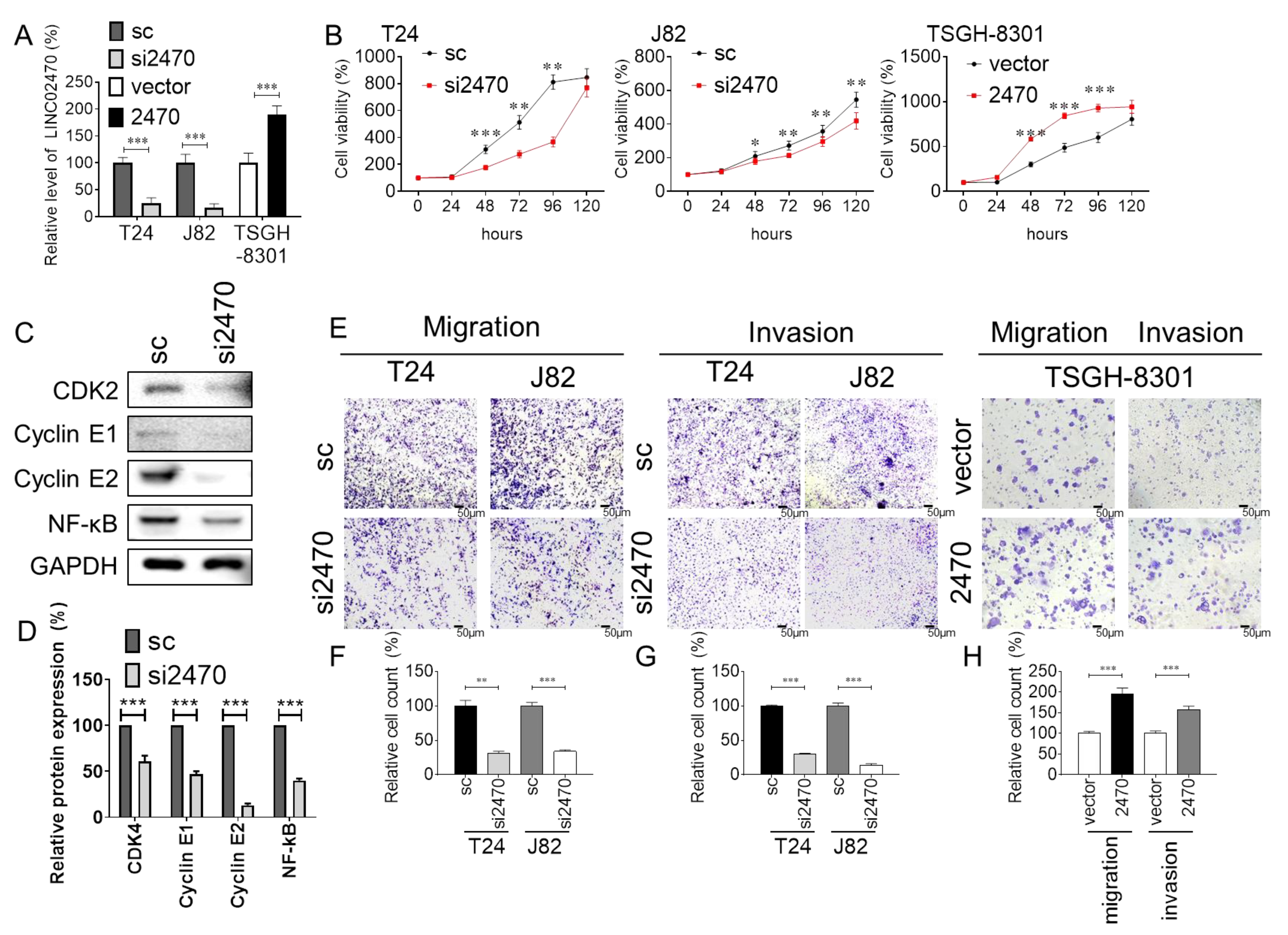 Cancers 14 00968 g002