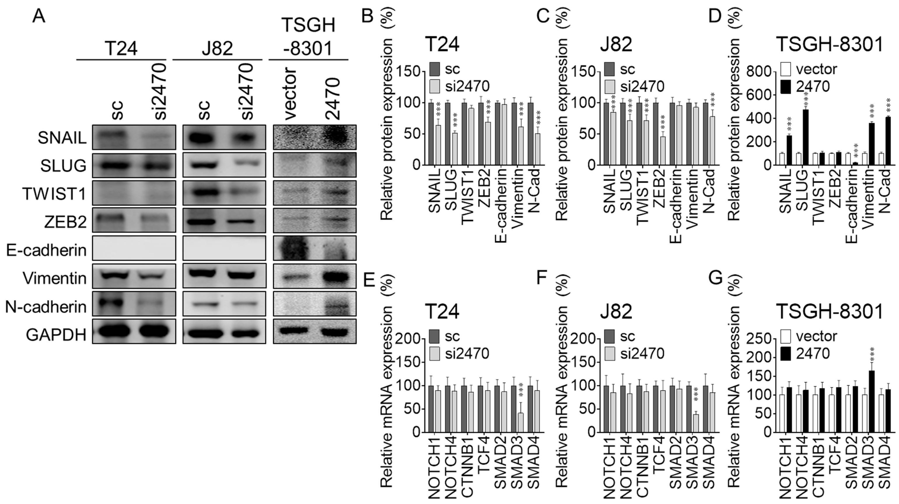 Cancers 14 00968 g003