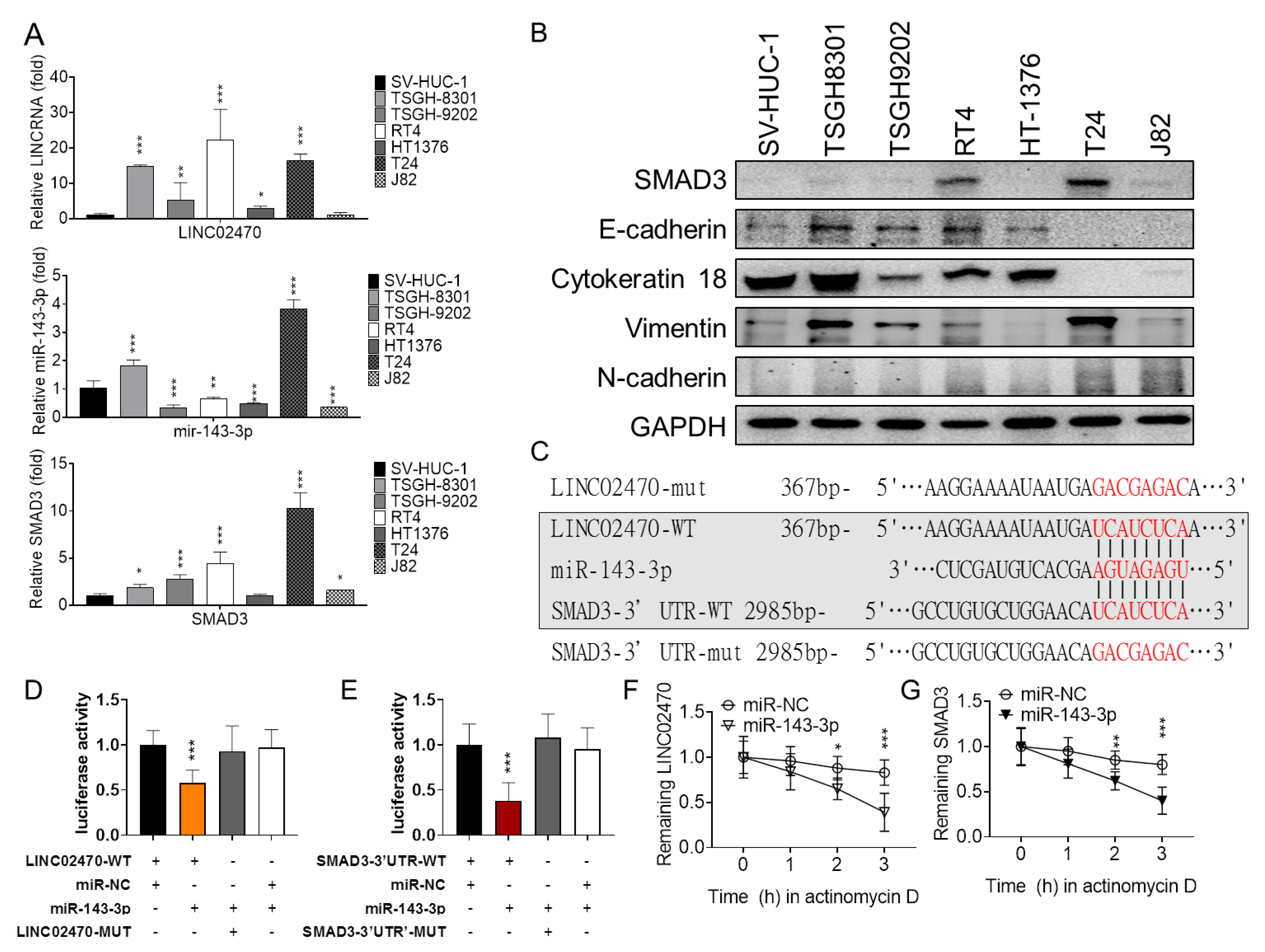 Cancers 14 00968 g004