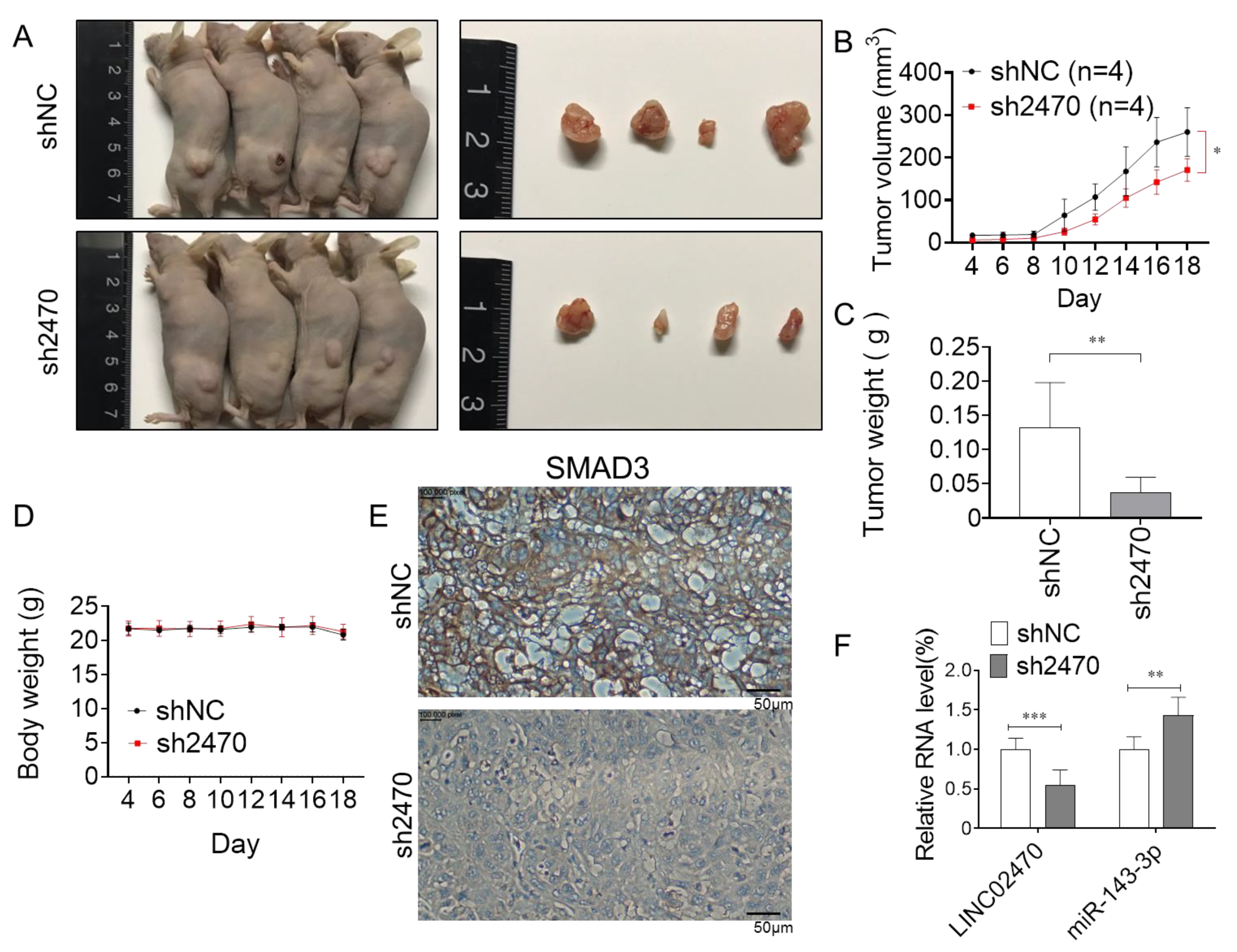 Cancers 14 00968 g006