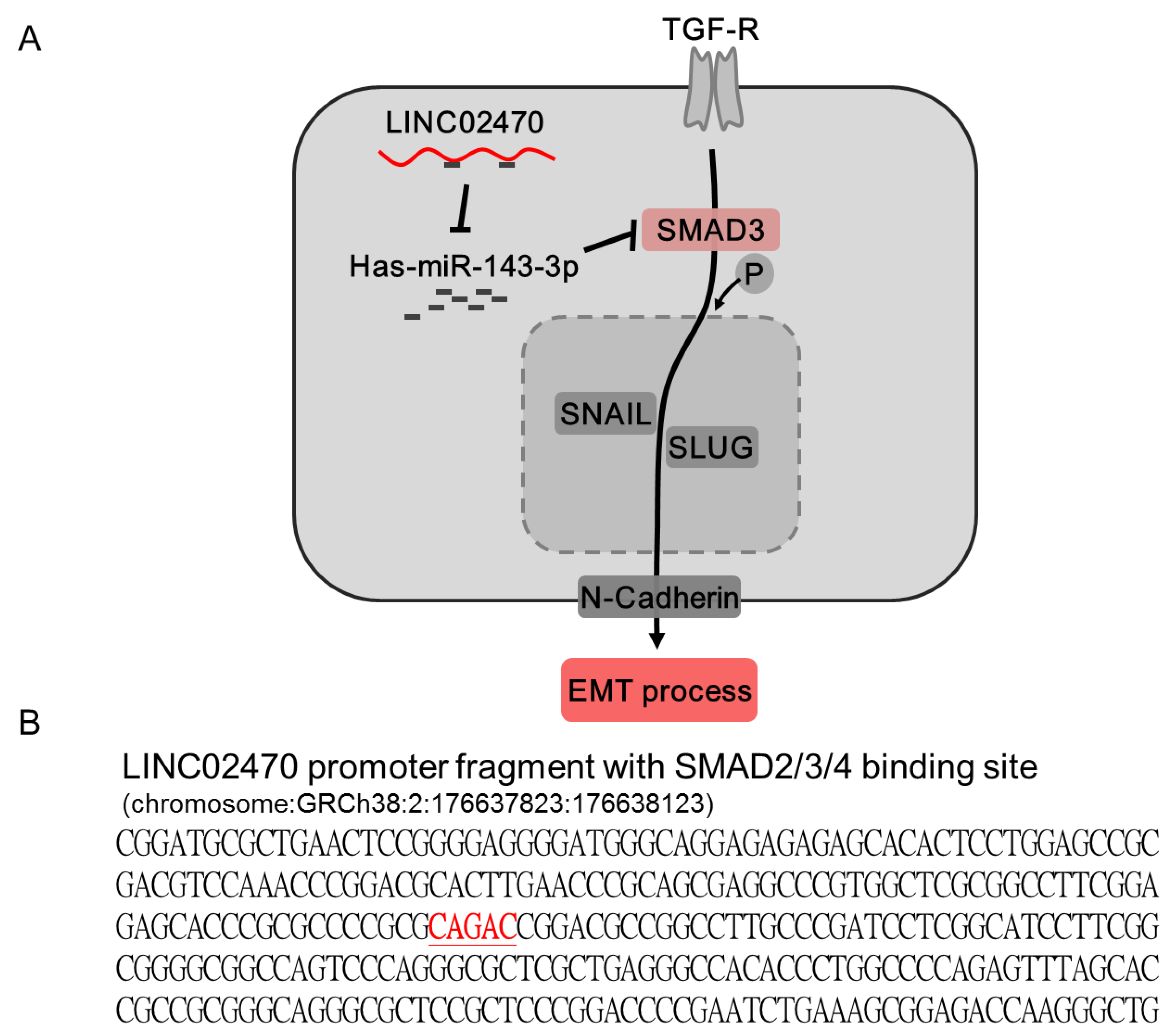 Cancers 14 00968 g007