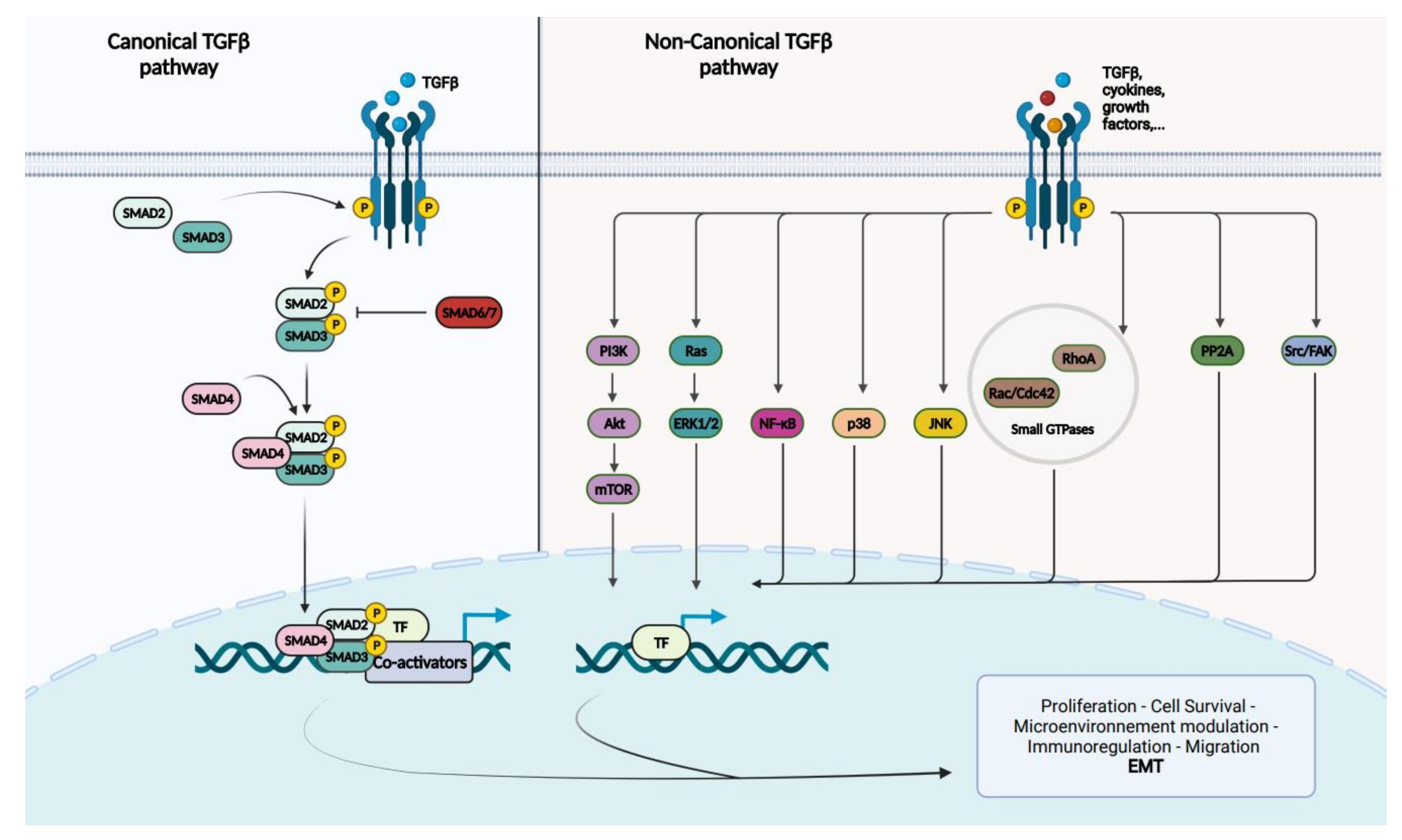 Cancers 14 00973 g001