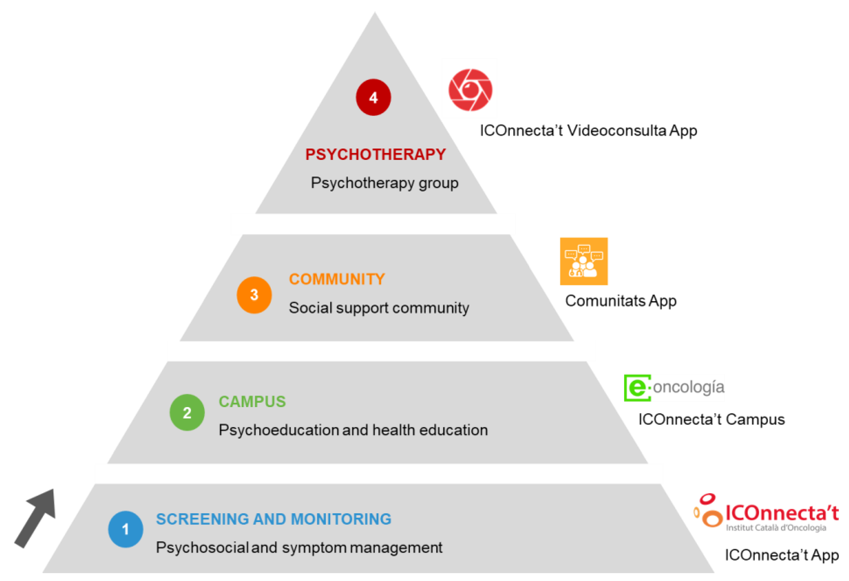 Cancers 14 00974 g001