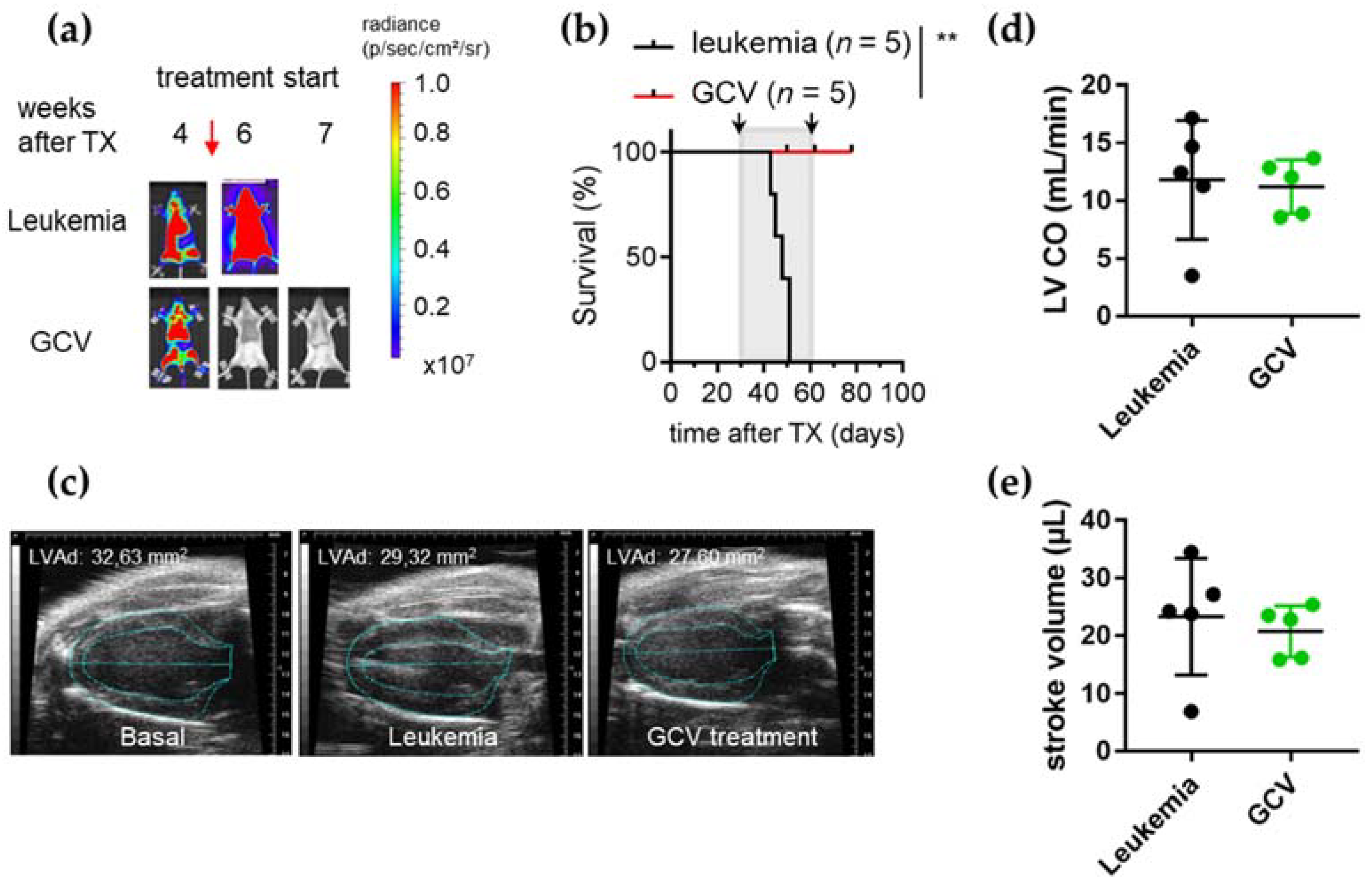 Cancers 14 00983 g002