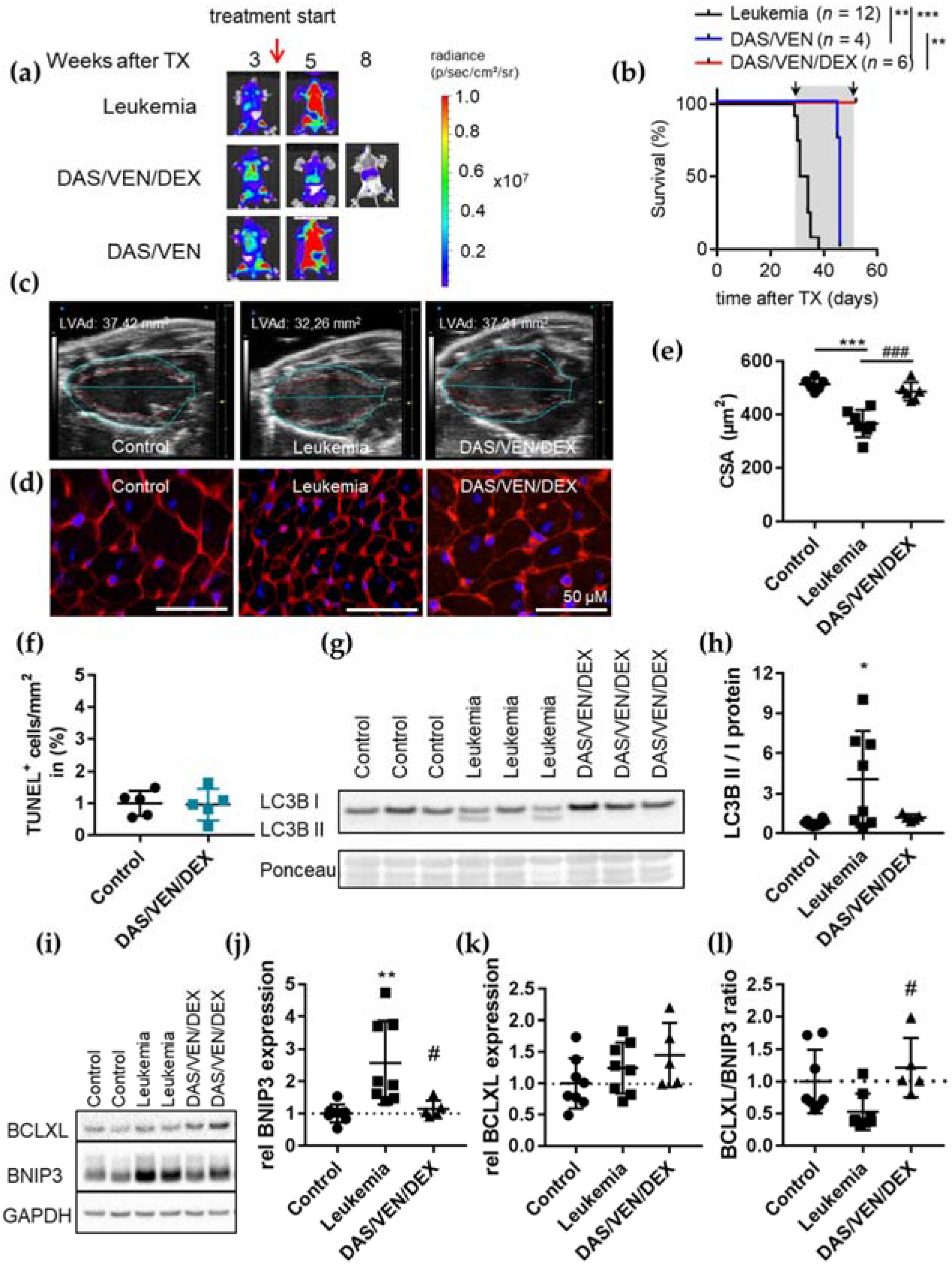 Cancers 14 00983 g003
