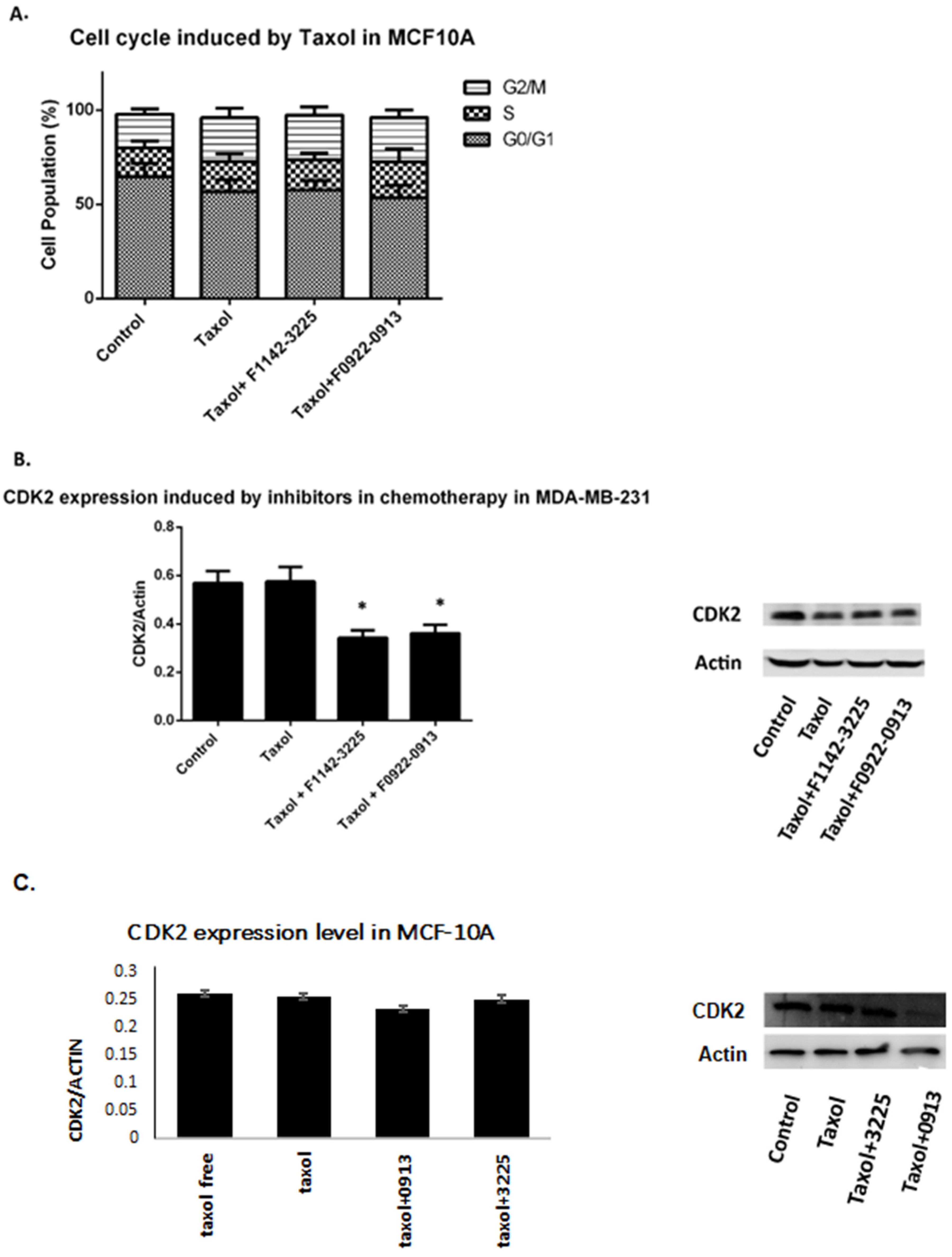 Cancers 14 00989 g007